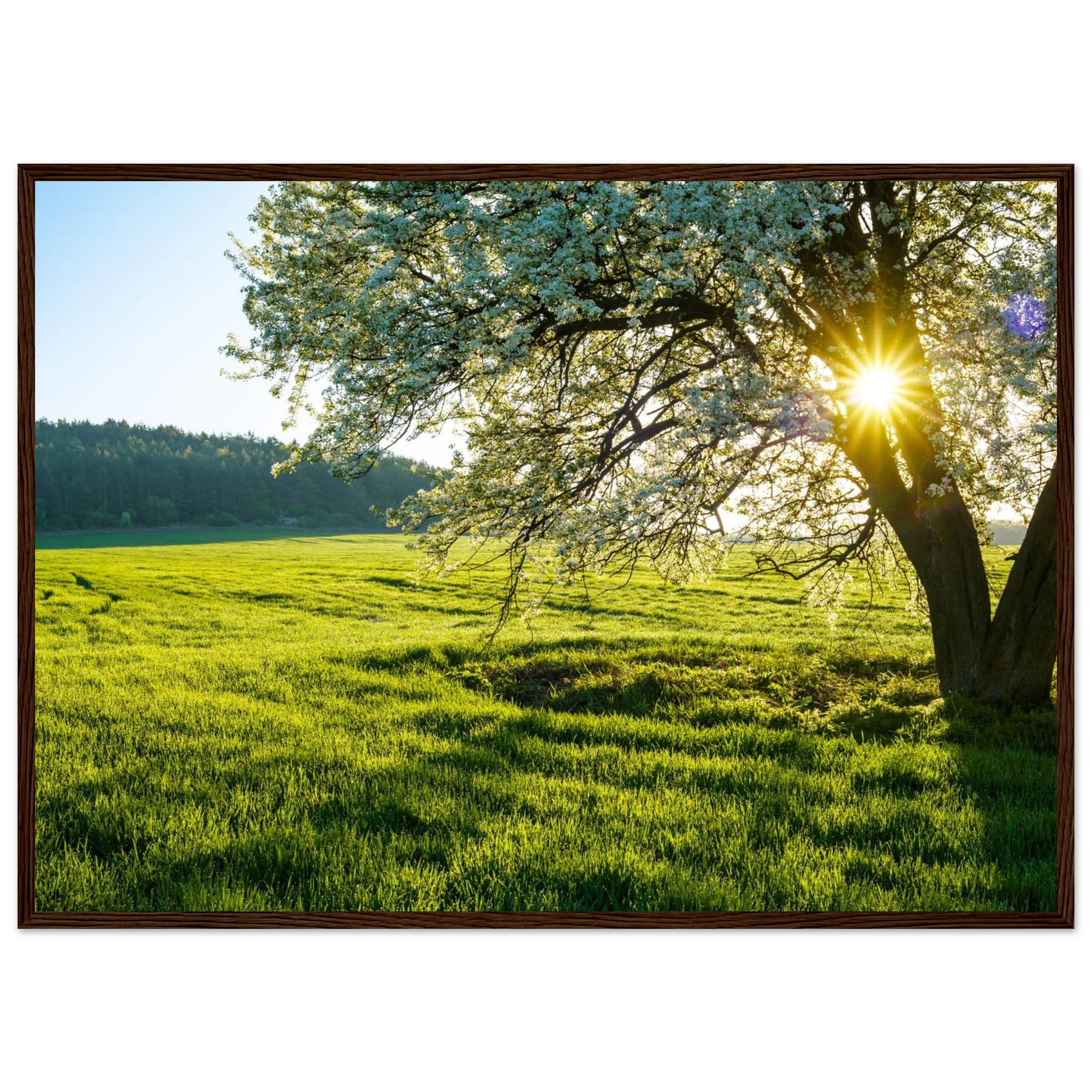 1d258b73-560b-4abf-a7cd-763ba70e6a80