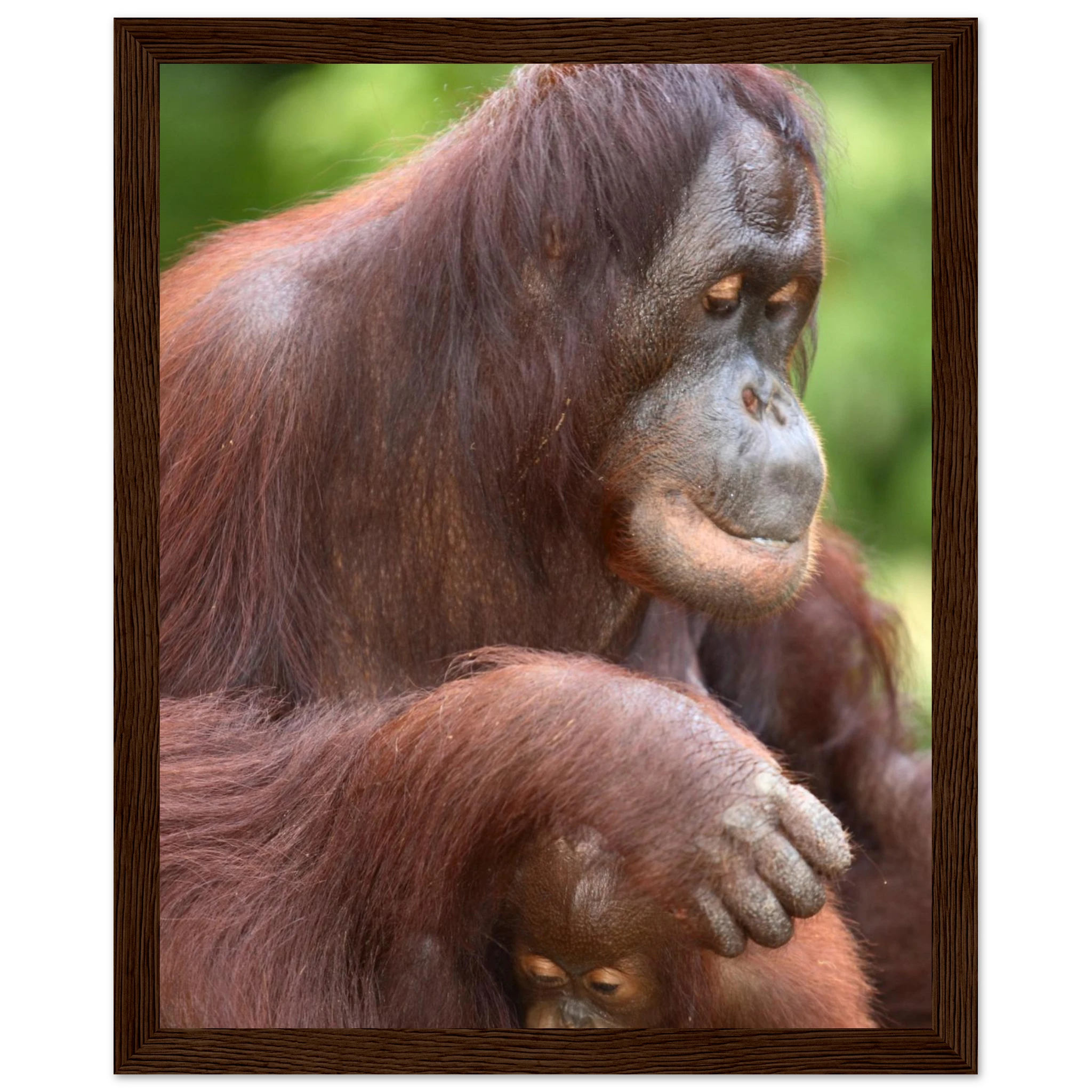 1d2847f4-6434-437b-93a6-7daf97702475