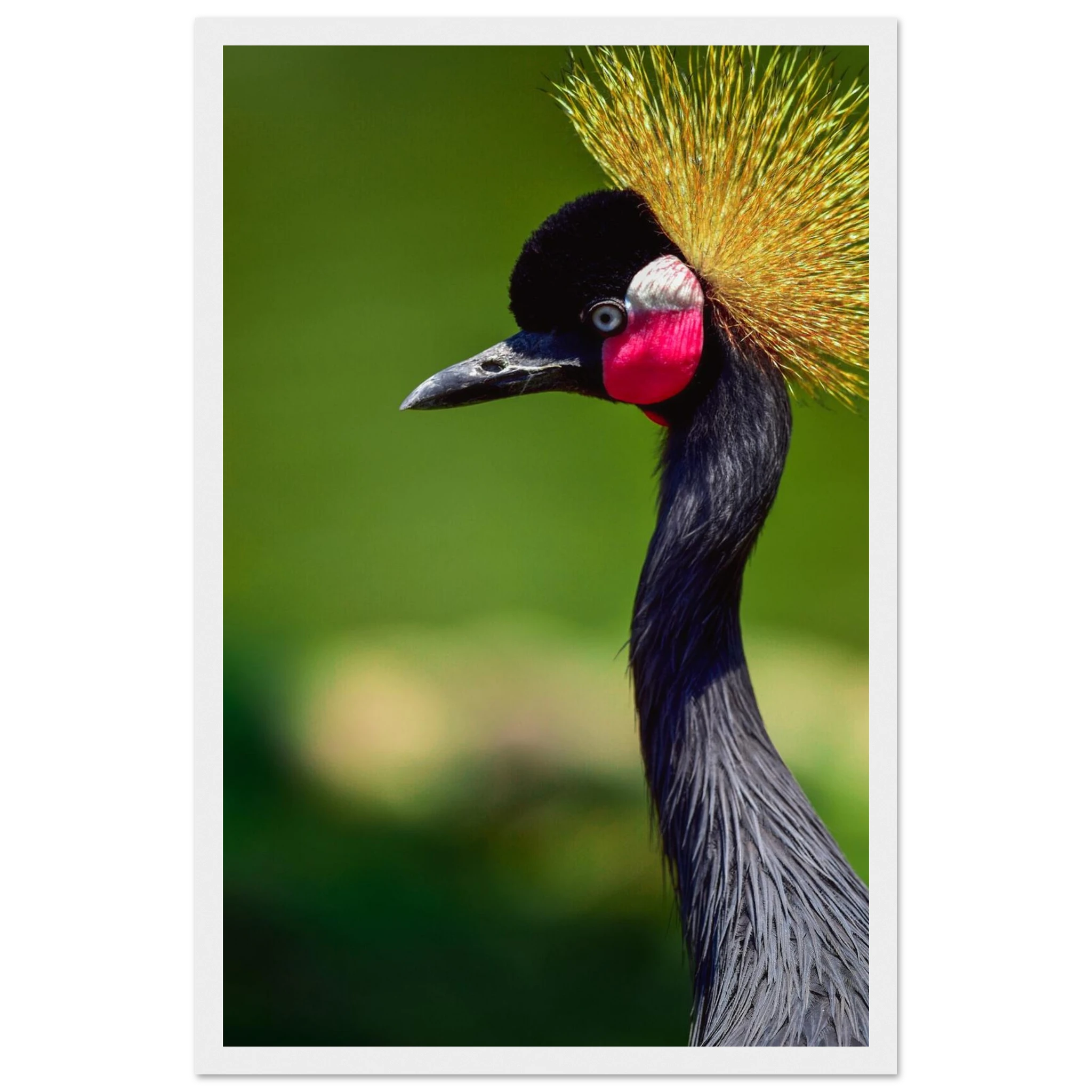 1d3db0d1-67bb-48e1-b336-273f436b2edd