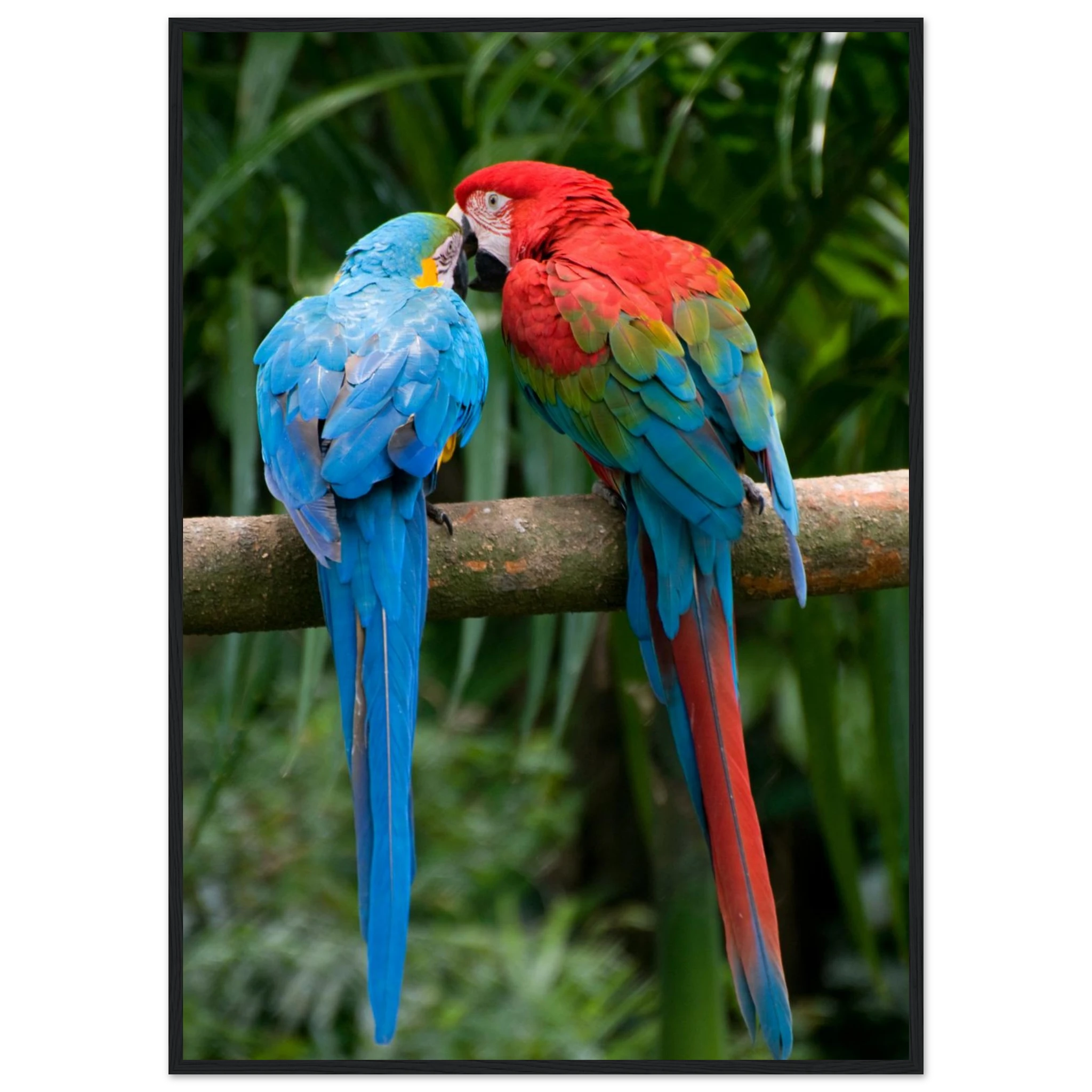 1d467460-e0ab-46d6-93cf-59c5cff2370c