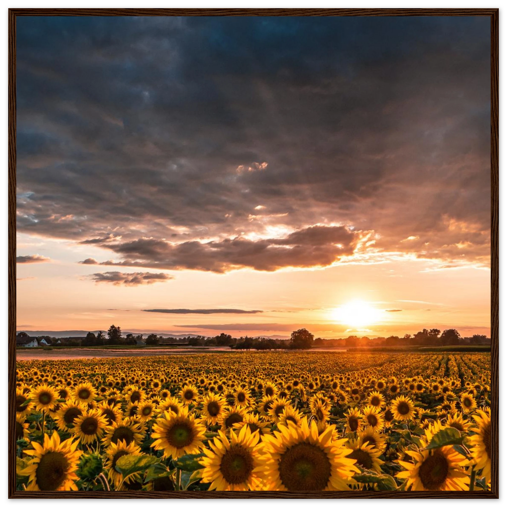 1d4b6a18-8367-40f3-9d55-529c84c9ac51