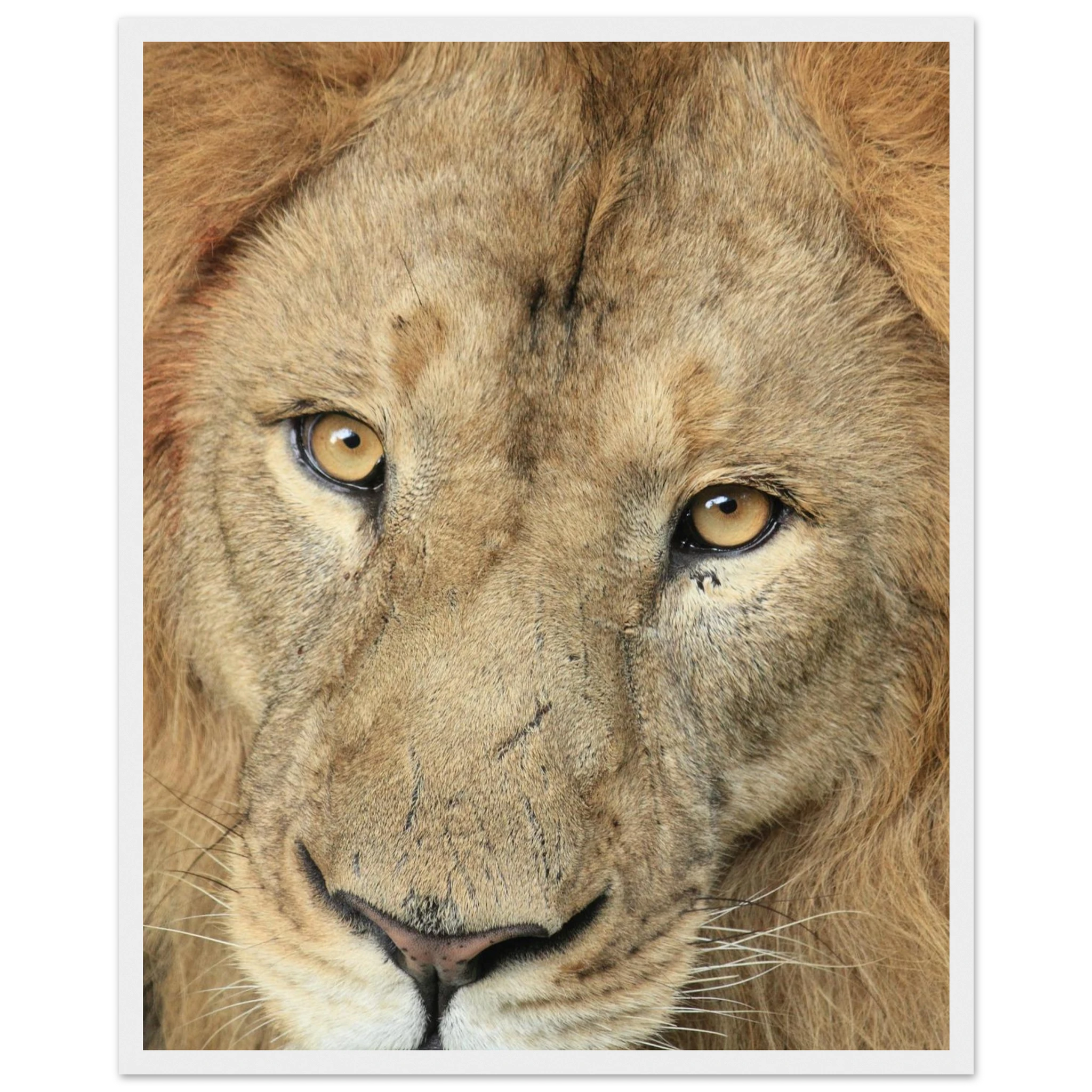 1d4e743d-a637-466e-82bb-48b5b9a1bd3e