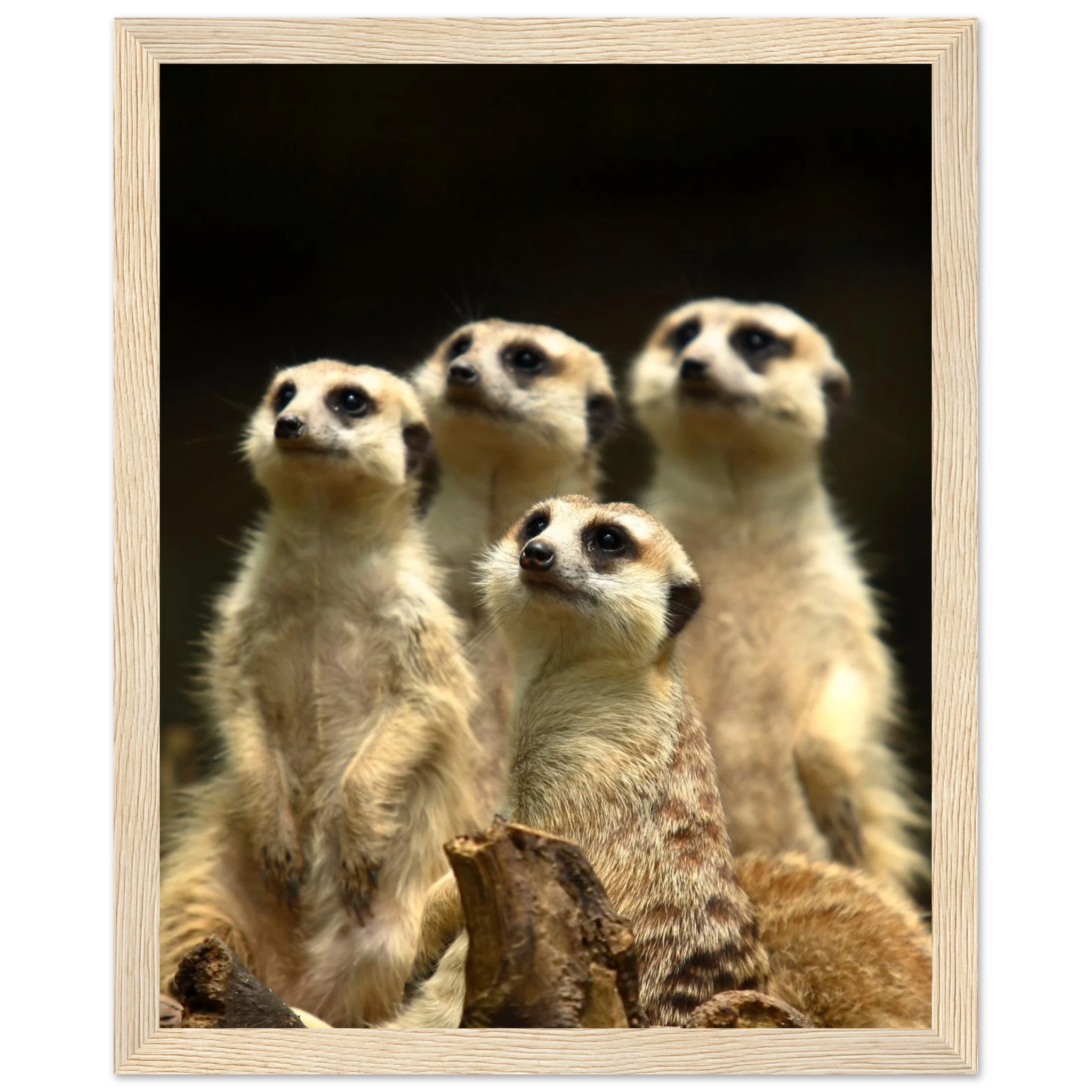 1da16373-1a98-4cc2-be31-8150752d8098