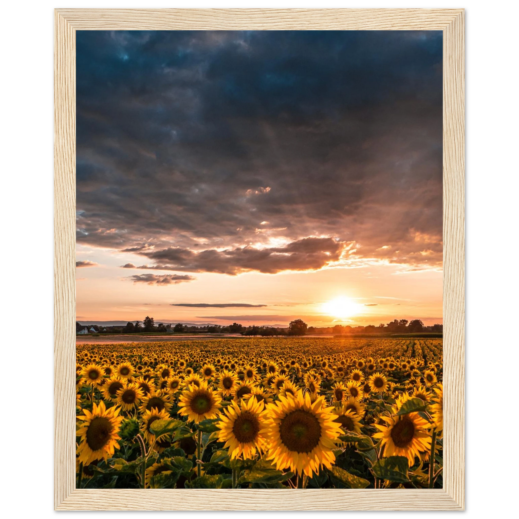 1dab7a93-79e8-4fe3-aa70-6abd04eee4a6