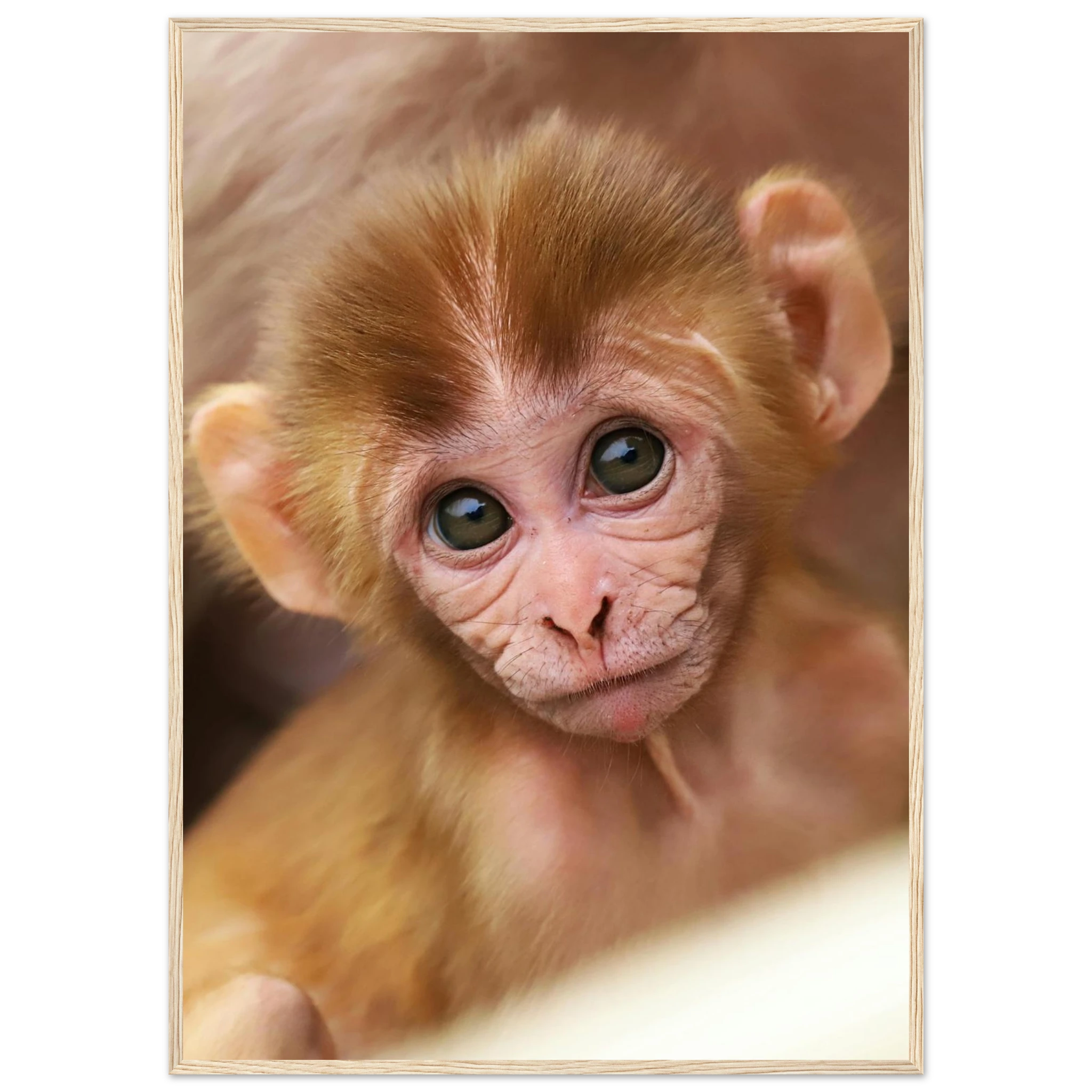 1dcd81ec-838f-4ac5-a74c-10790583021a