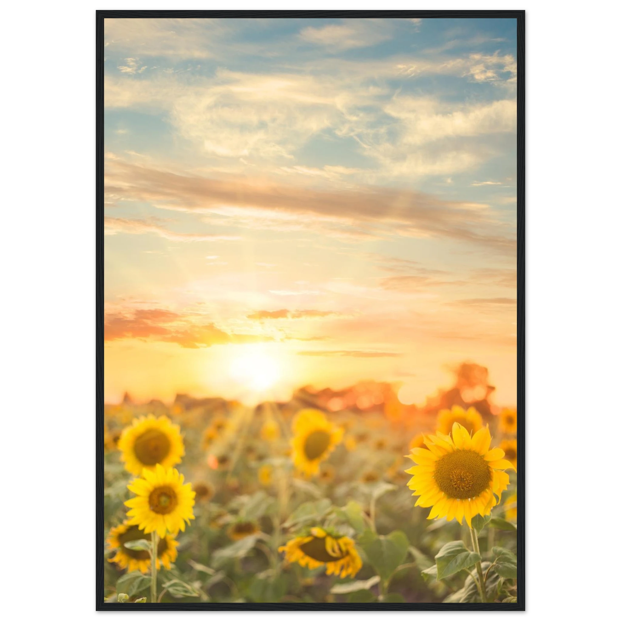 1dcf56ea-8adc-49dd-9e15-49ce60df9cc0