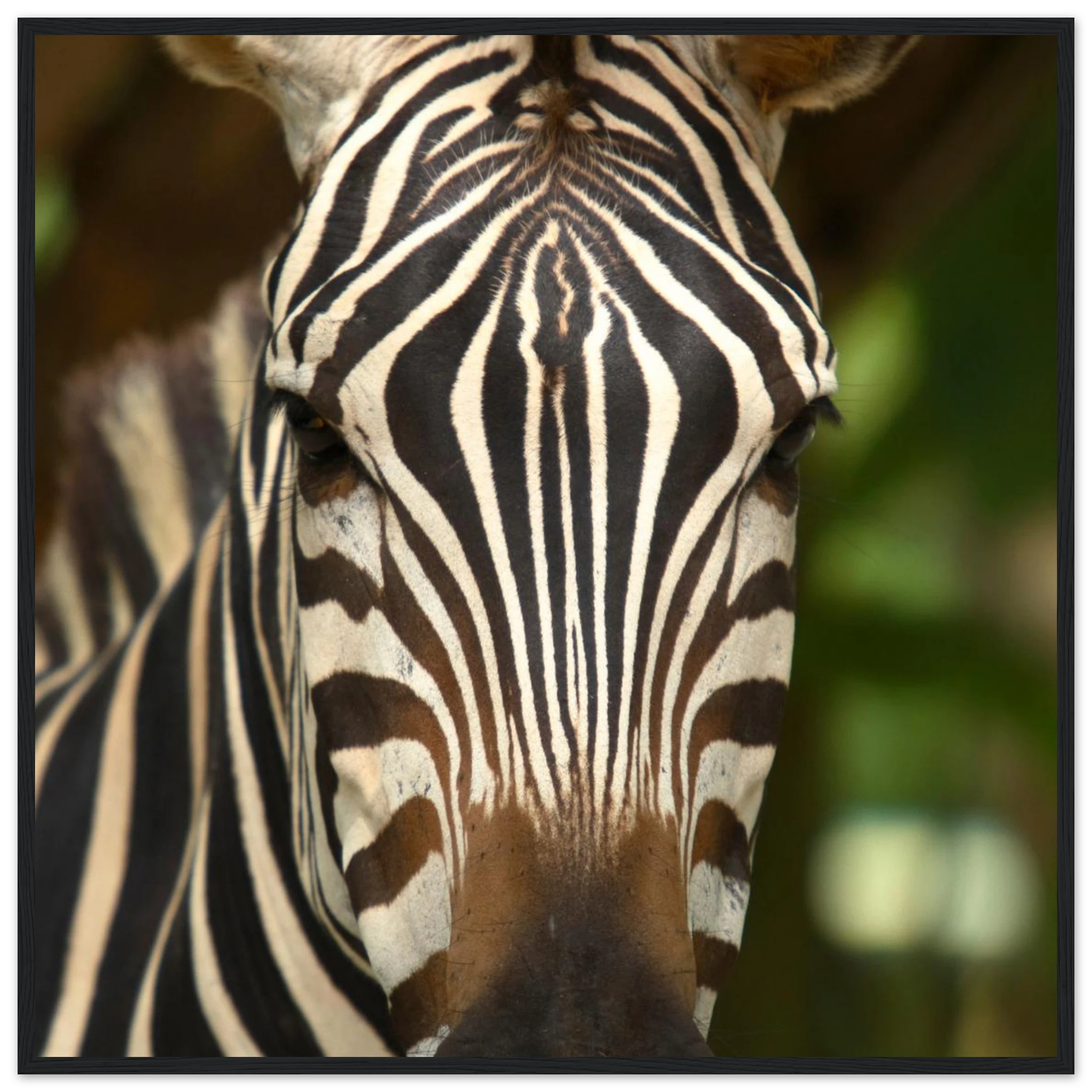 1dd07cd3-231d-4224-914f-849d25cfa9cd