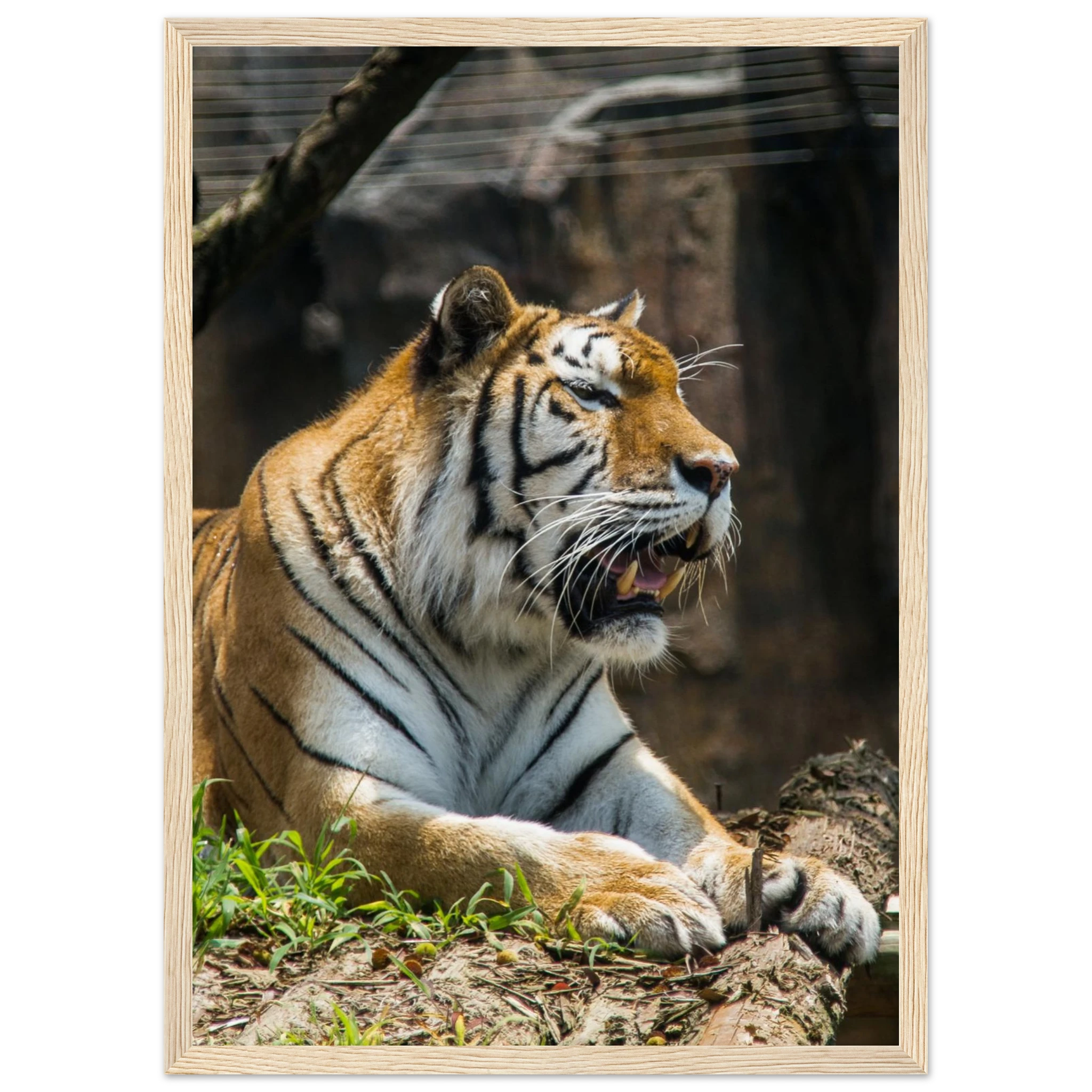 1dda6cad-94d2-47c3-81d8-a6c1221c696f