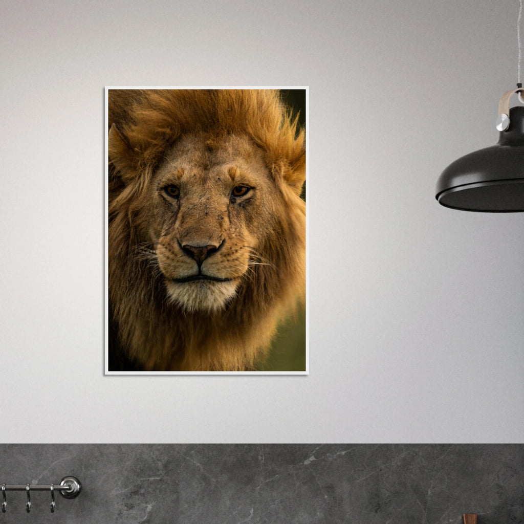 1de9d2bb-2ac0-44f7-90ab-00f2d54d6a13