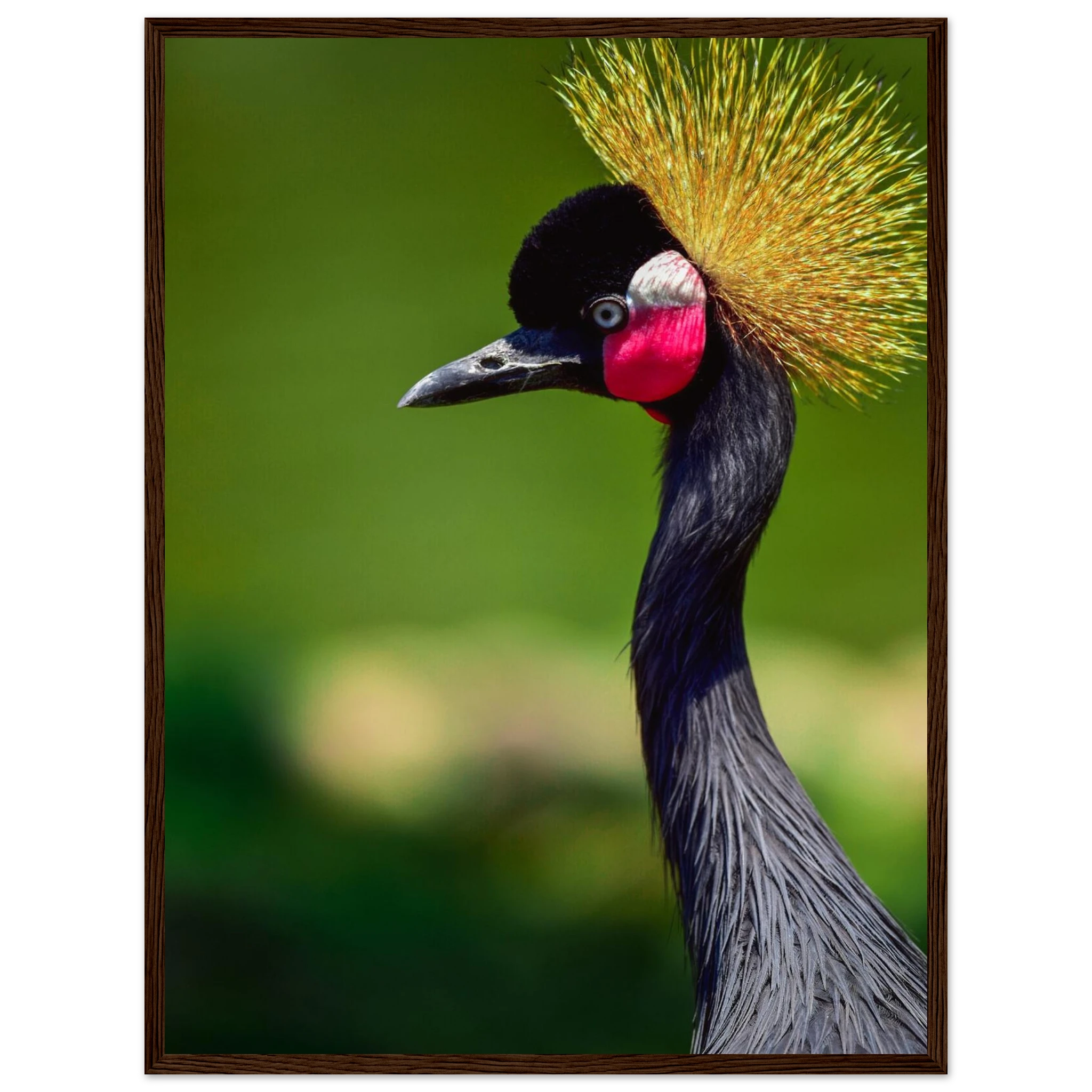 1df846c7-9023-4194-bf45-5cebc9444609