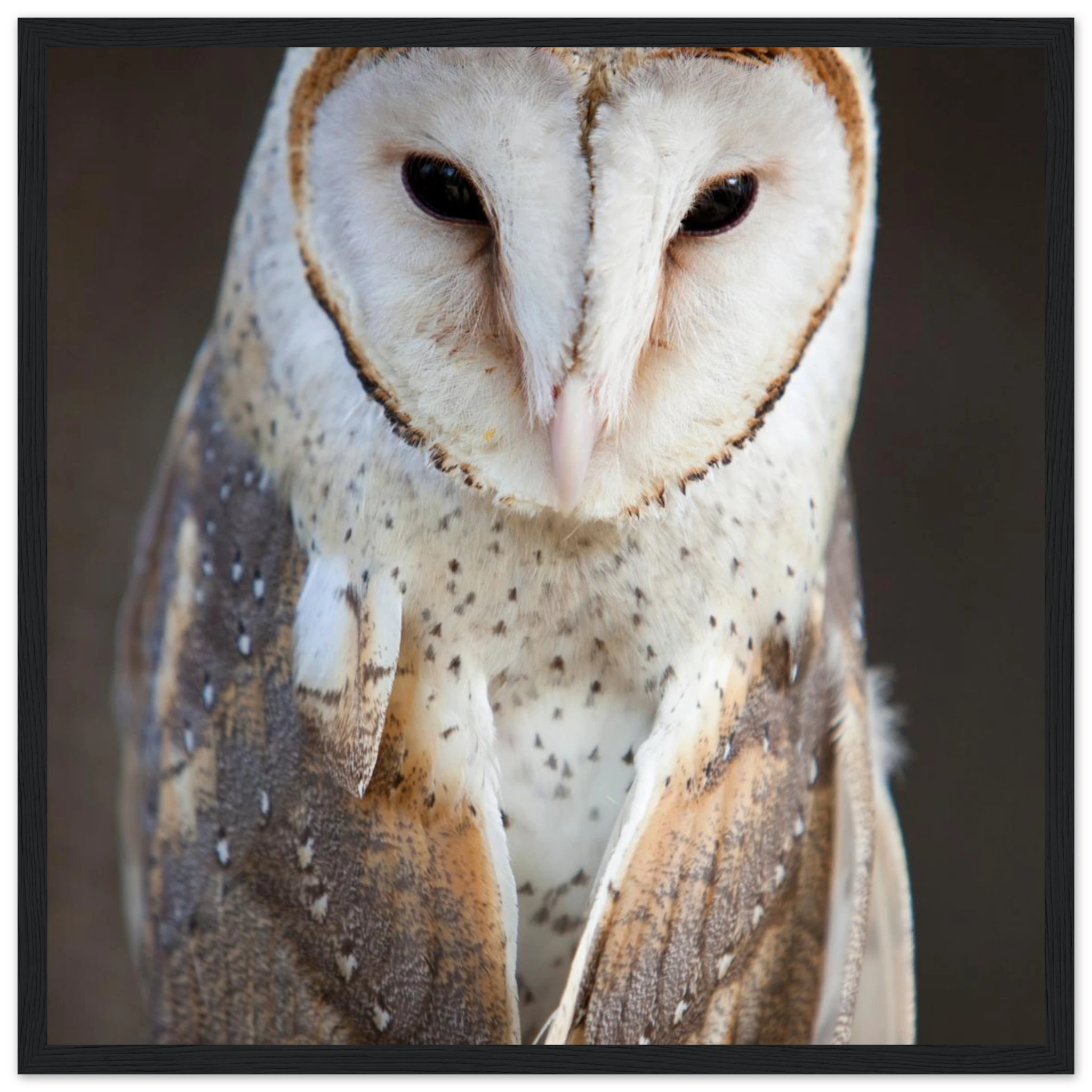 1dfc4b3d-477b-4a58-93b3-c05dab4236b1