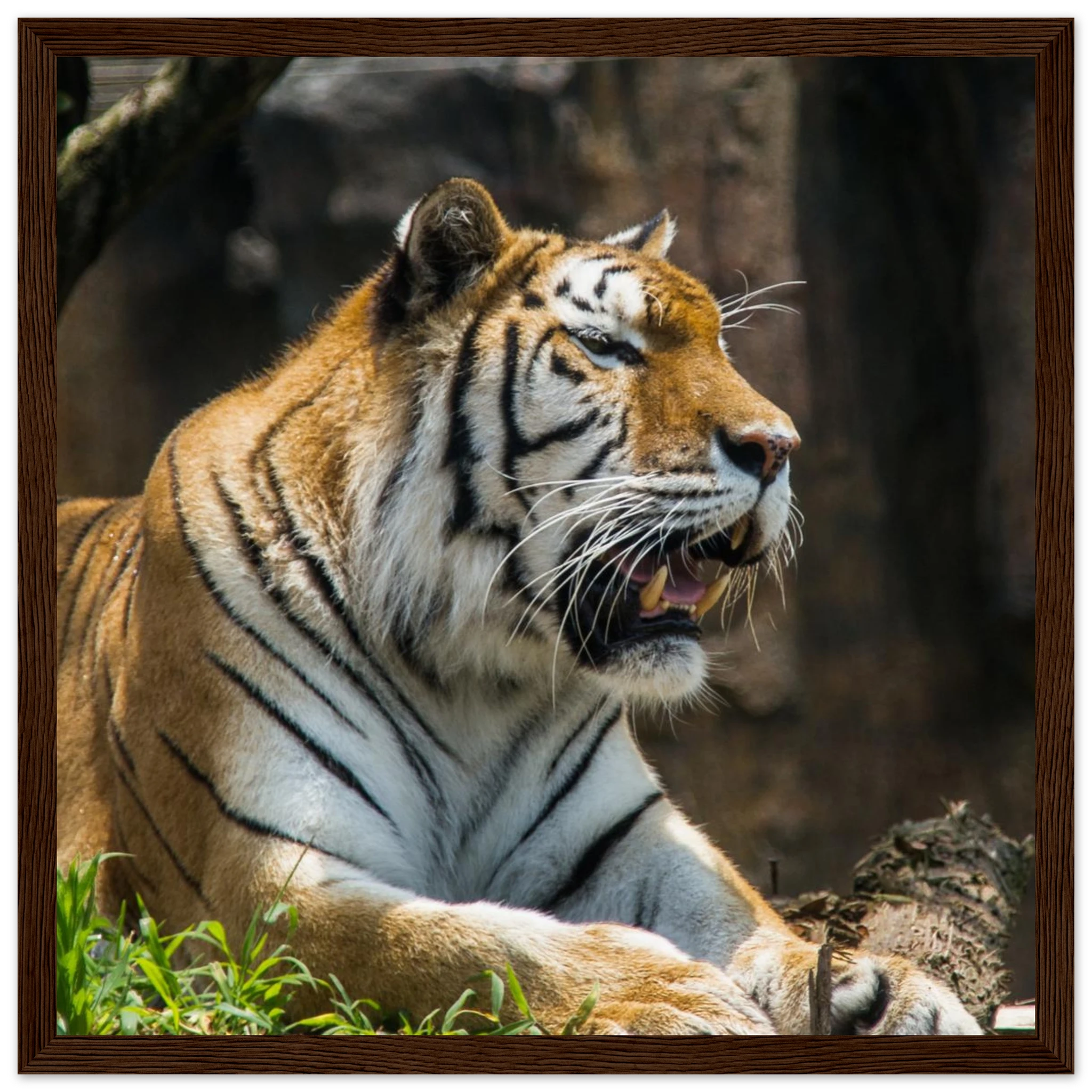 1e0237d7-72ab-4dee-b206-fba00e4ded1e