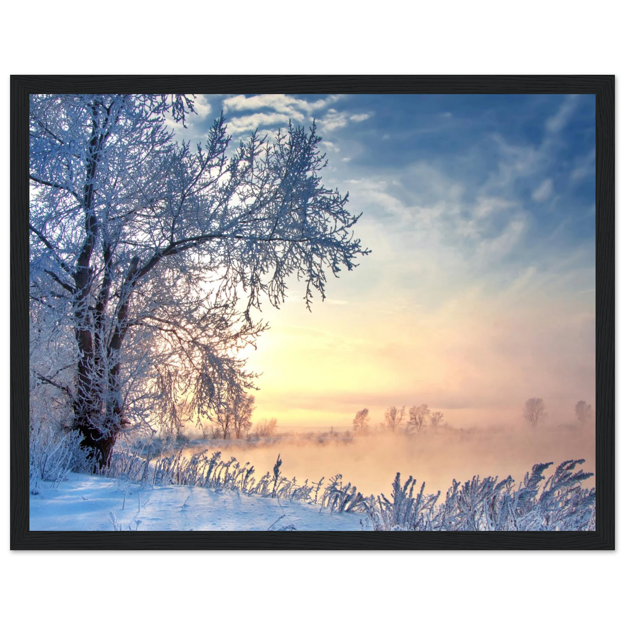 1e1c0679-41bf-4c98-9f66-7be8d2f3c9bb