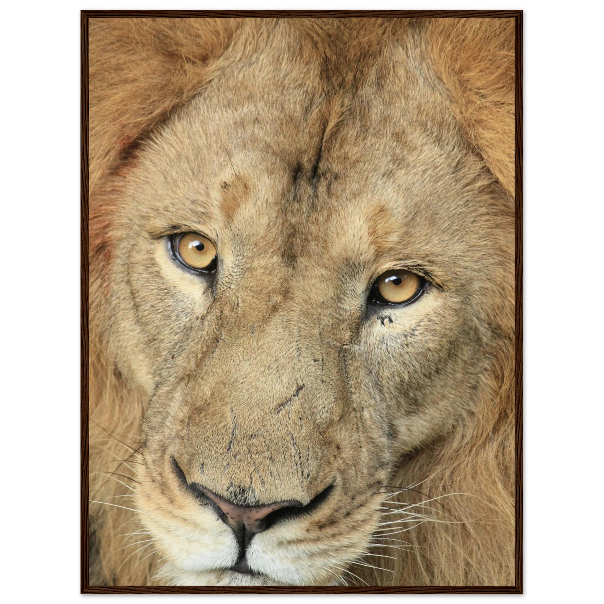 1e321d5b-2595-4c30-bd0d-1a814a475d0f