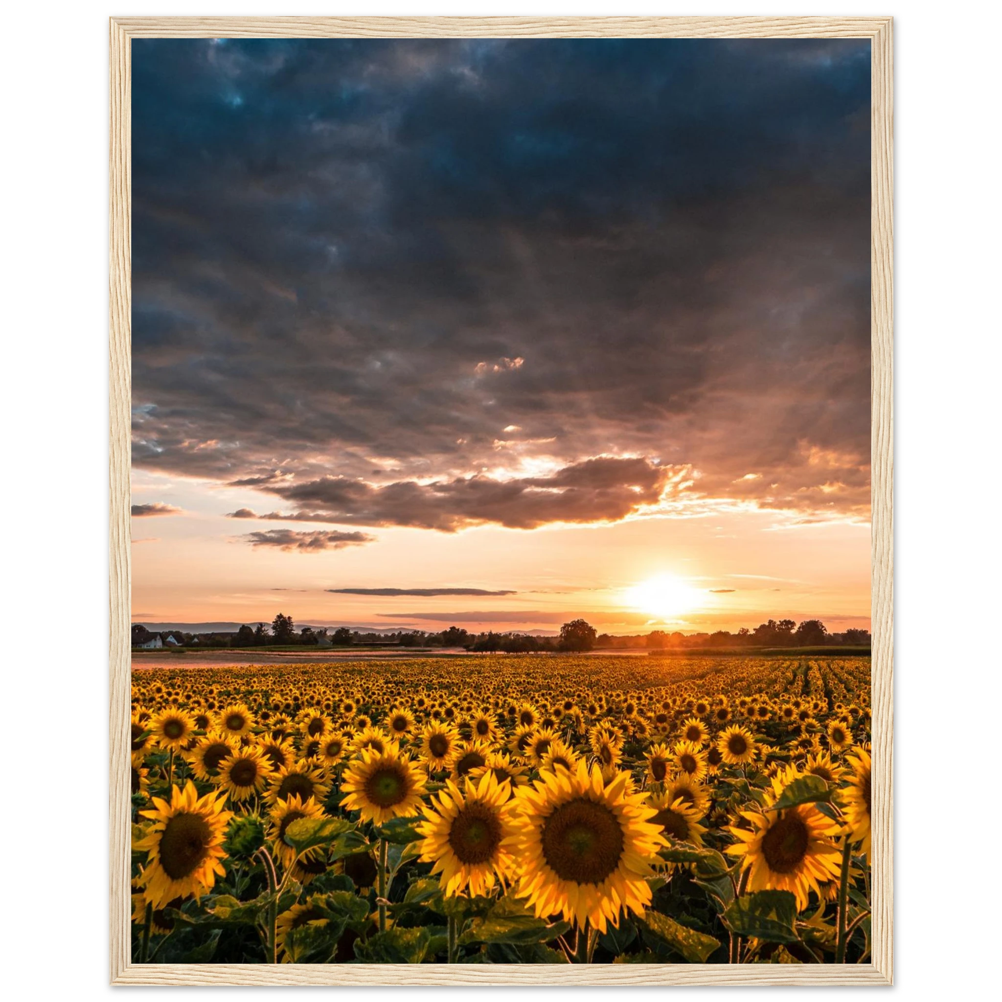 1e41261b-0e41-4329-bfa4-5b315a9f6b50