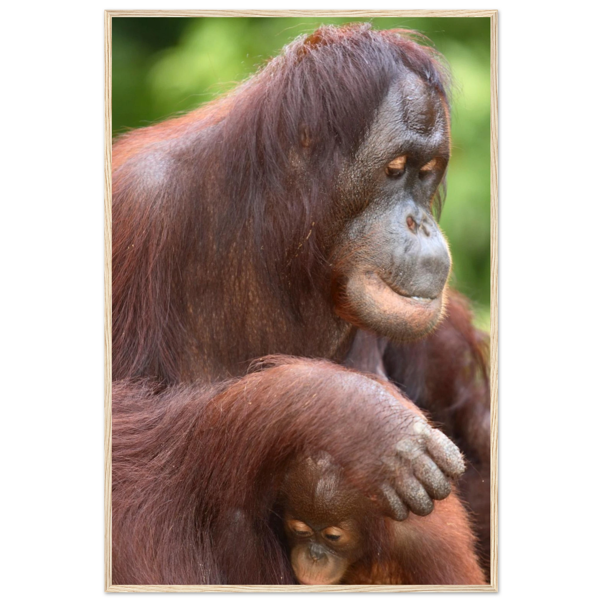 1e42b8d8-6e13-43e4-955e-2c589e20eb20