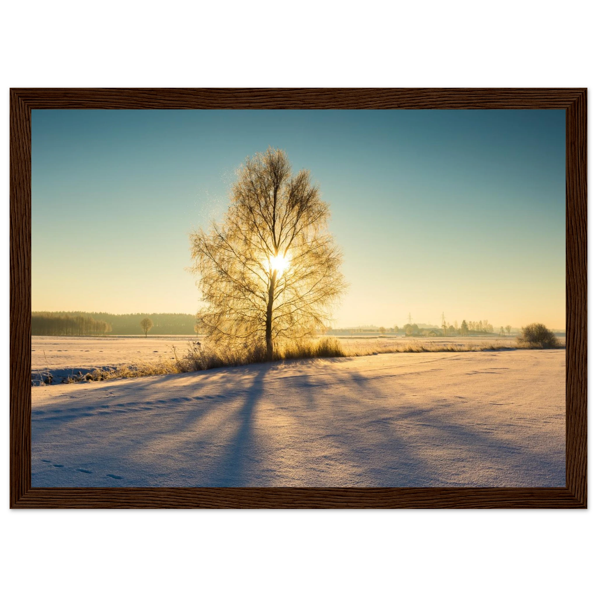 1e459eca-fb04-4f0a-9741-e4d5f9f41376