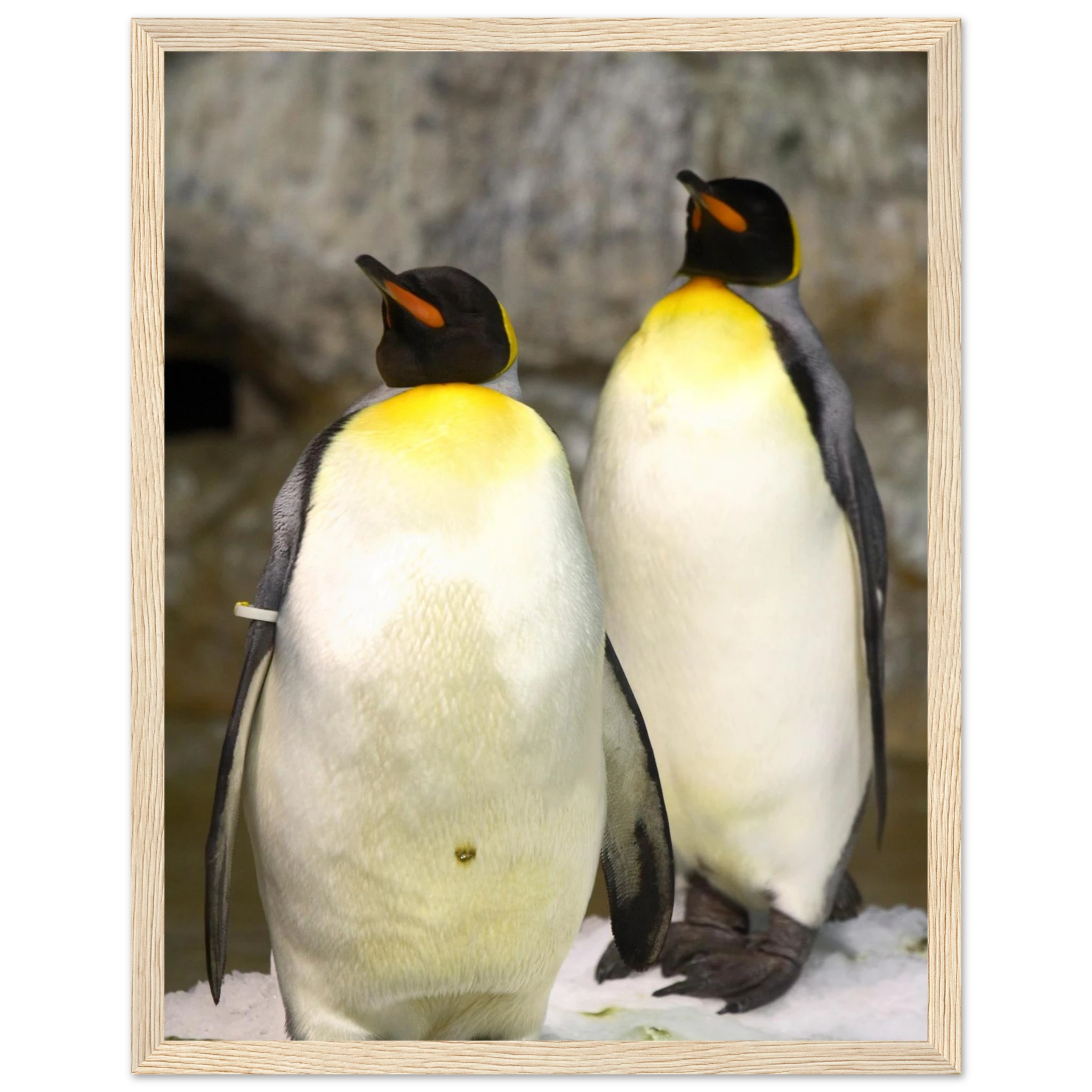 1e52b74b-0332-4060-ba13-63bee97bd2f9