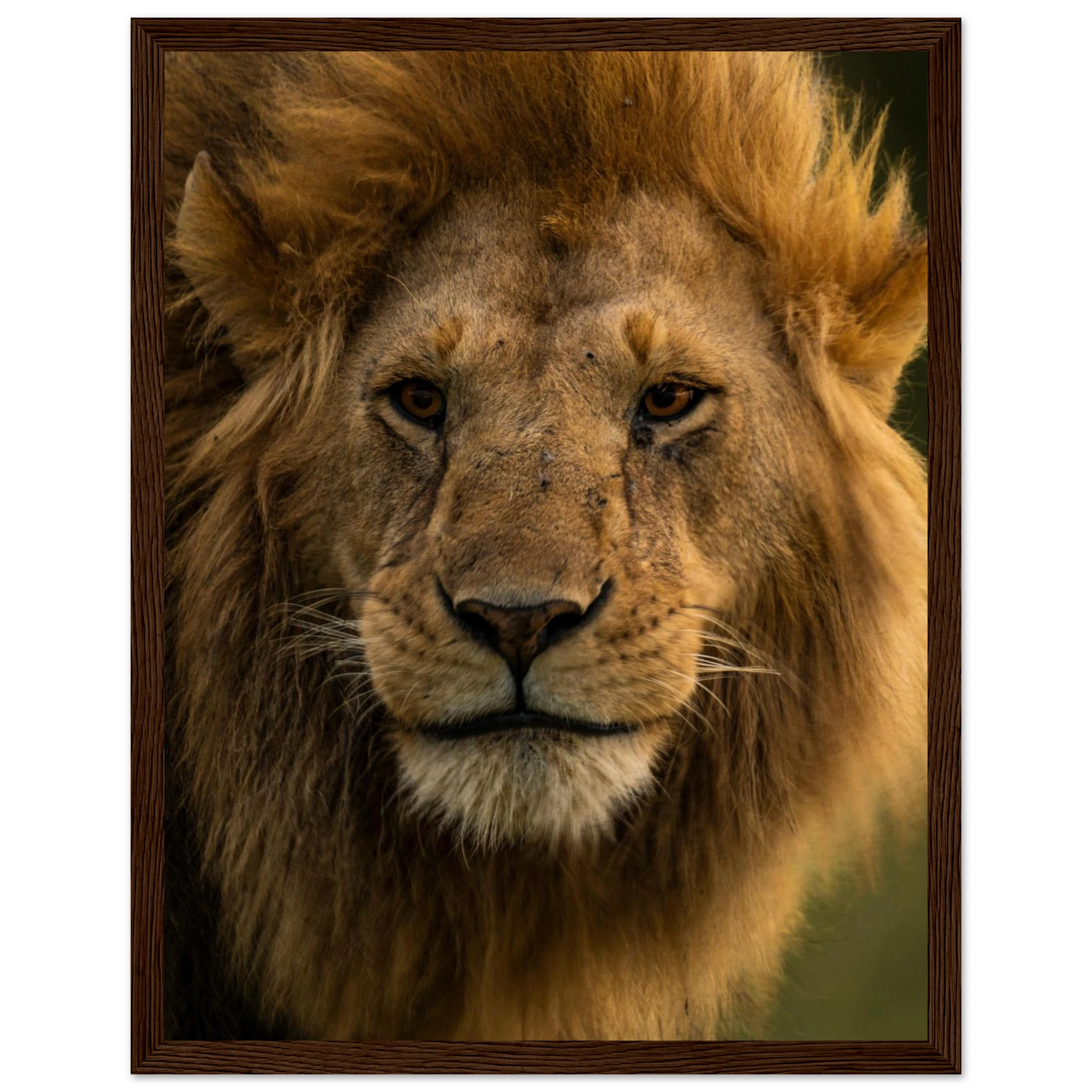 1e5be271-df13-4da2-bf66-f04026eaceb3