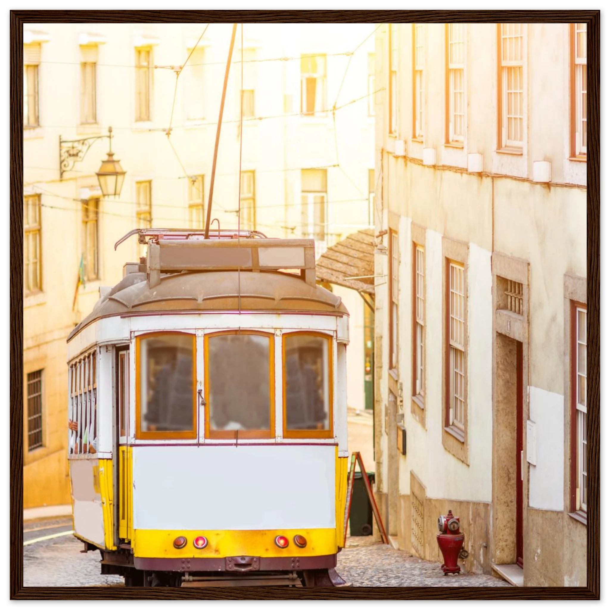 1e6090ae-c370-4207-a4df-f868000514a9