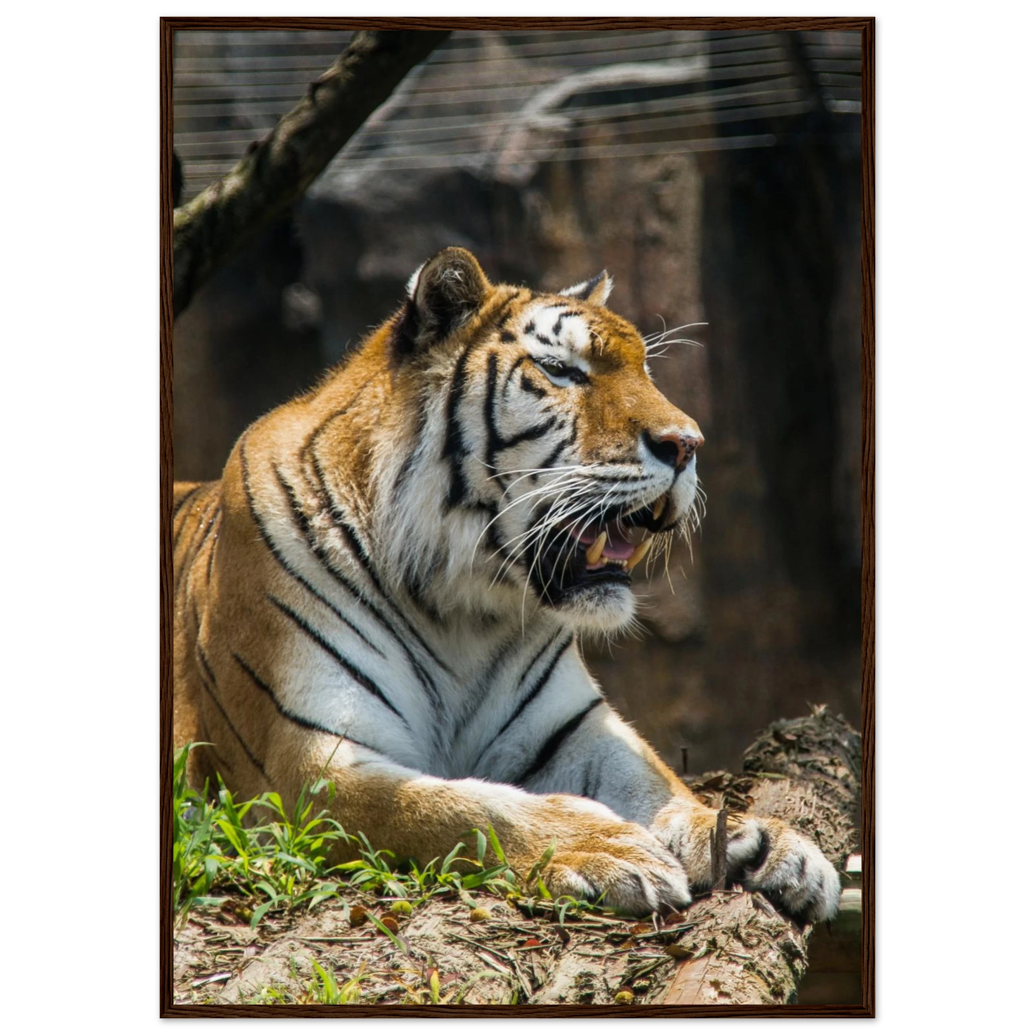 1e649d4c-da59-42f9-8a6b-5550379015c5