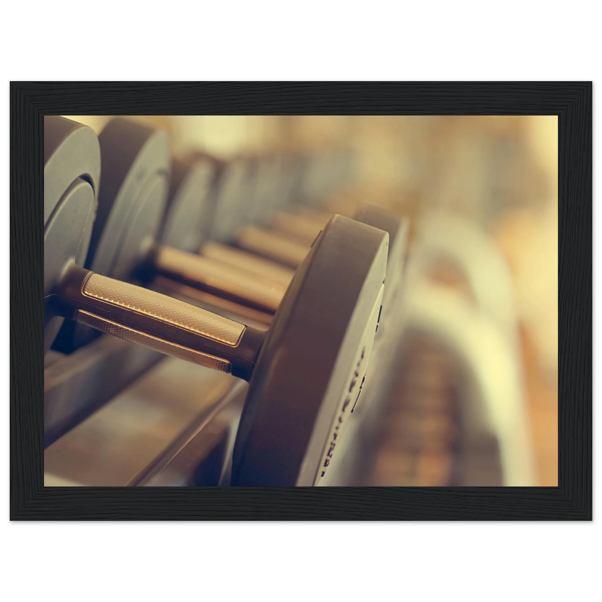 1e844d8c-40aa-466c-a9ce-624c450fcaac