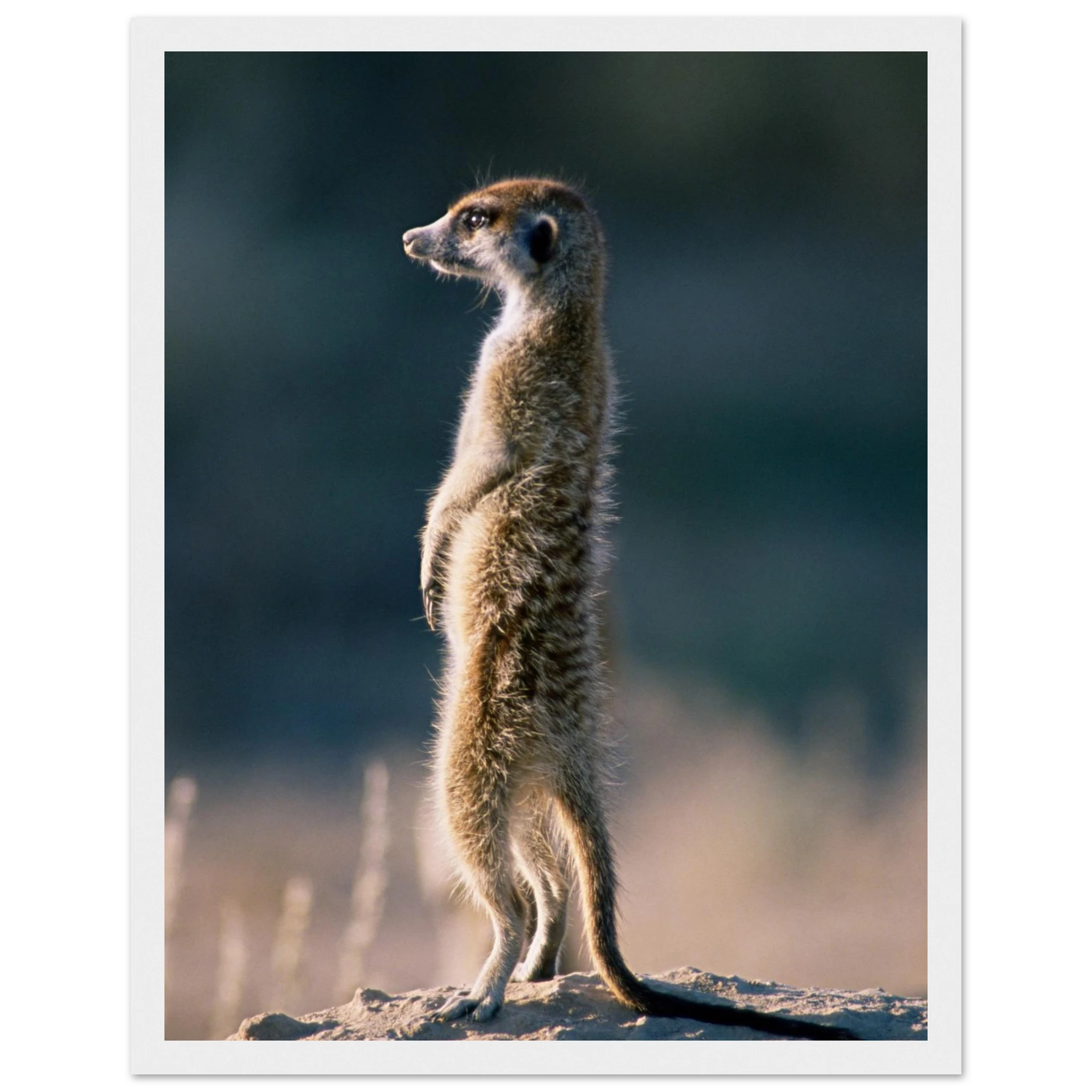 1eb2a7b2-010a-4080-8d46-8ad3d4e50696