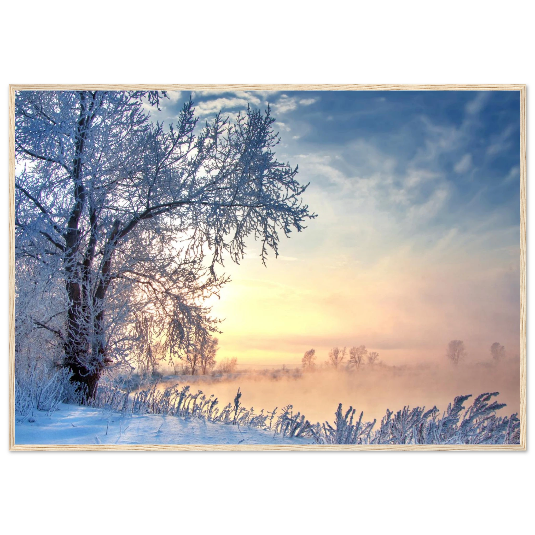 1ed59a90-ce09-4184-8783-ba5df49f7dd0