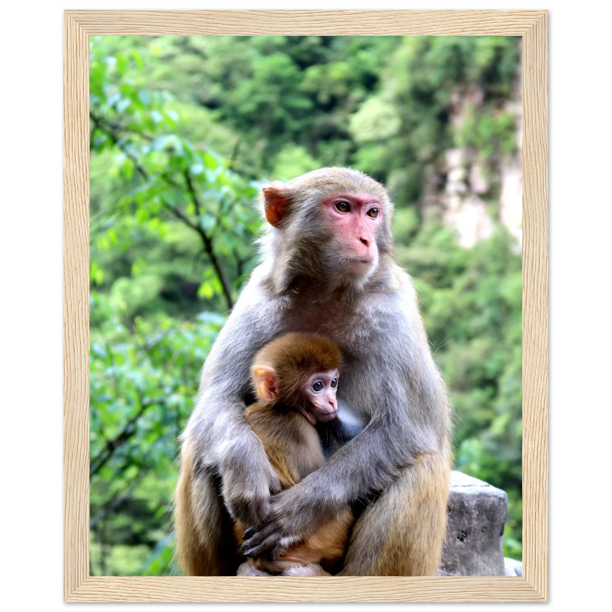 1ee3e64b-8d91-45a3-b1b5-a1728fa7804b