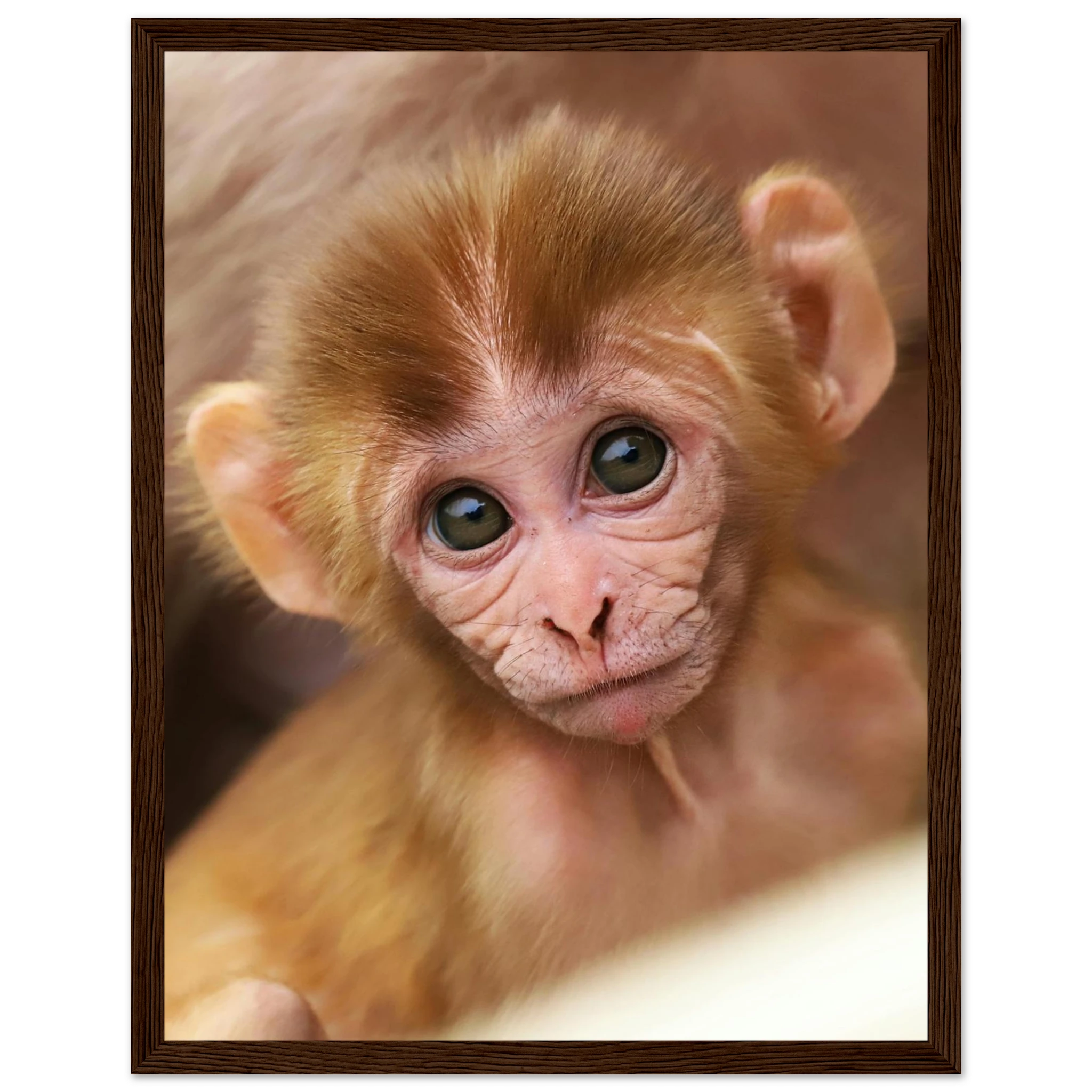 1eeef007-e3db-46f9-b3b9-fb4222f34eed