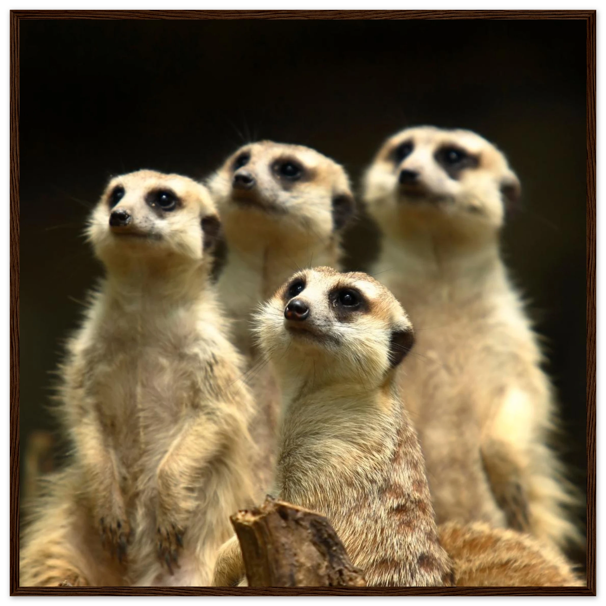 1ef32773-9f7b-46f7-843d-2d4348278156