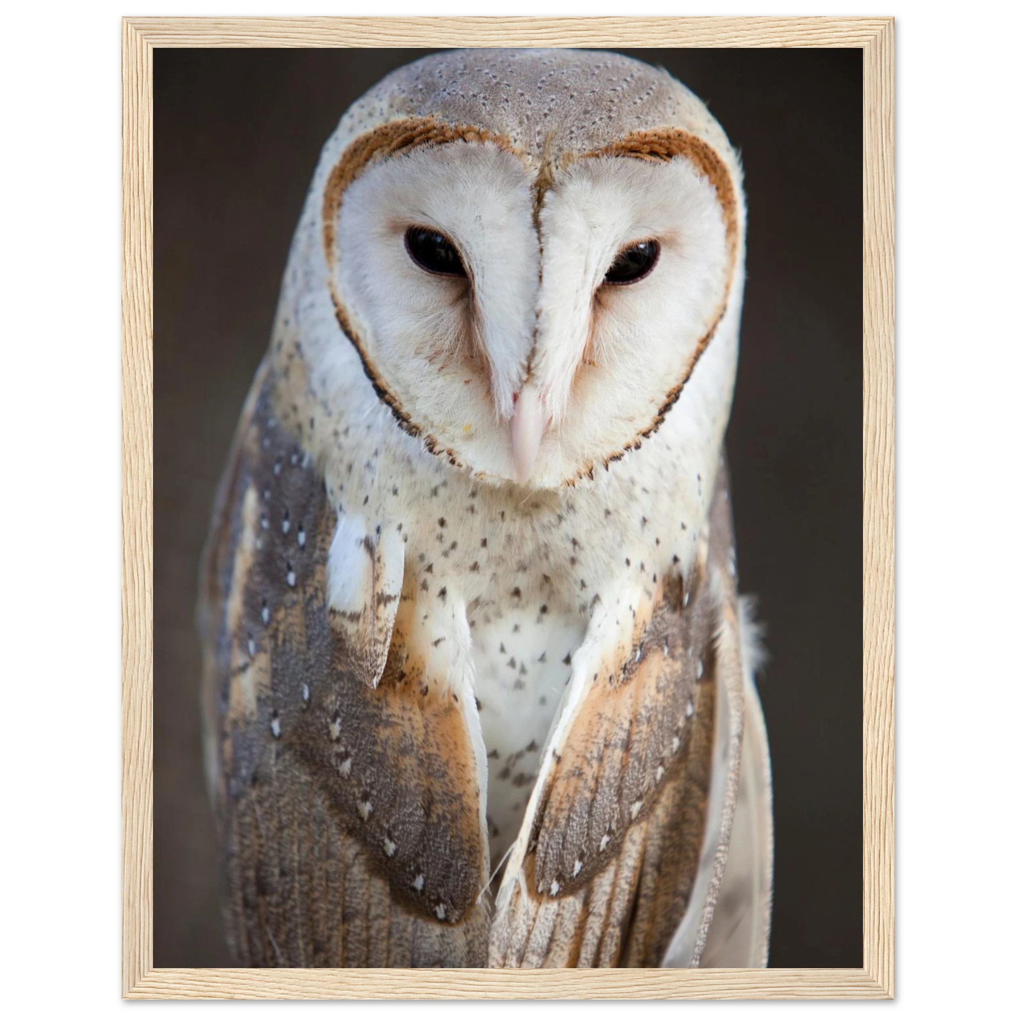 1ef8a60b-509d-45d6-b065-2cd0baeecceb