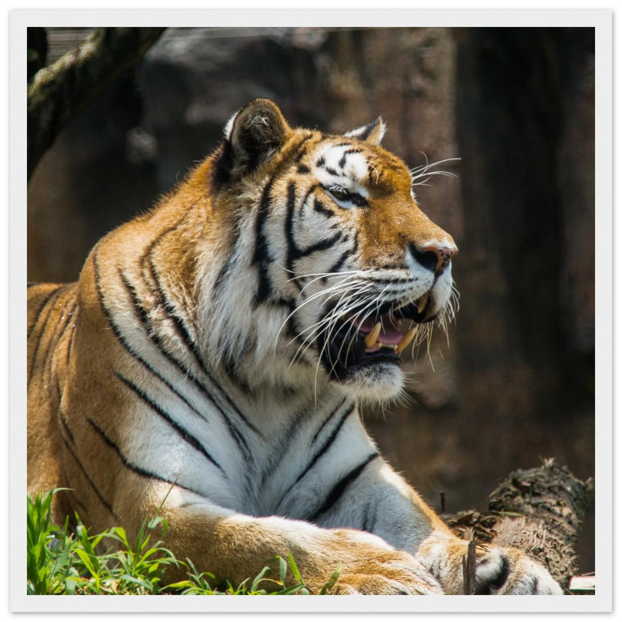 1f3e9c19-c2ec-4fe3-963e-bd80307f50fb