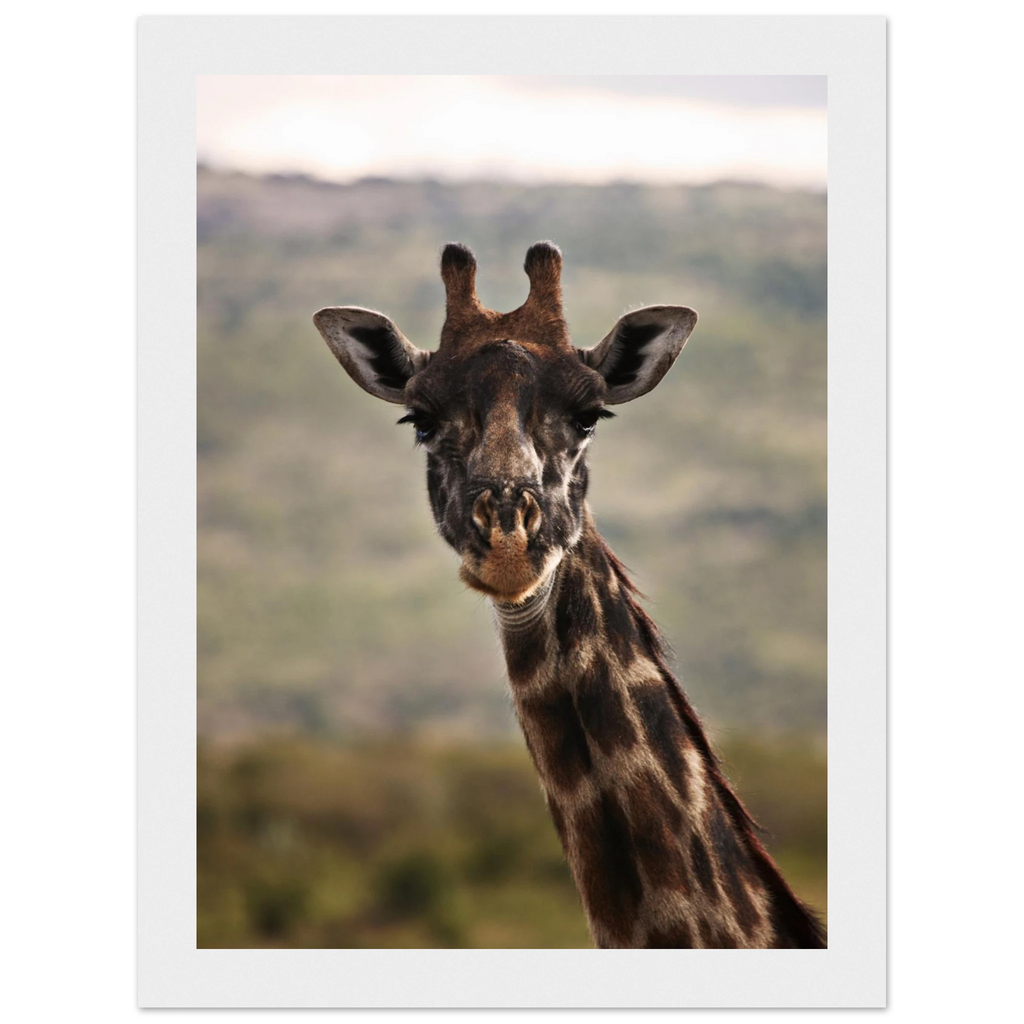 1f3f4fdf-3958-4c48-b05f-61ce0127f396