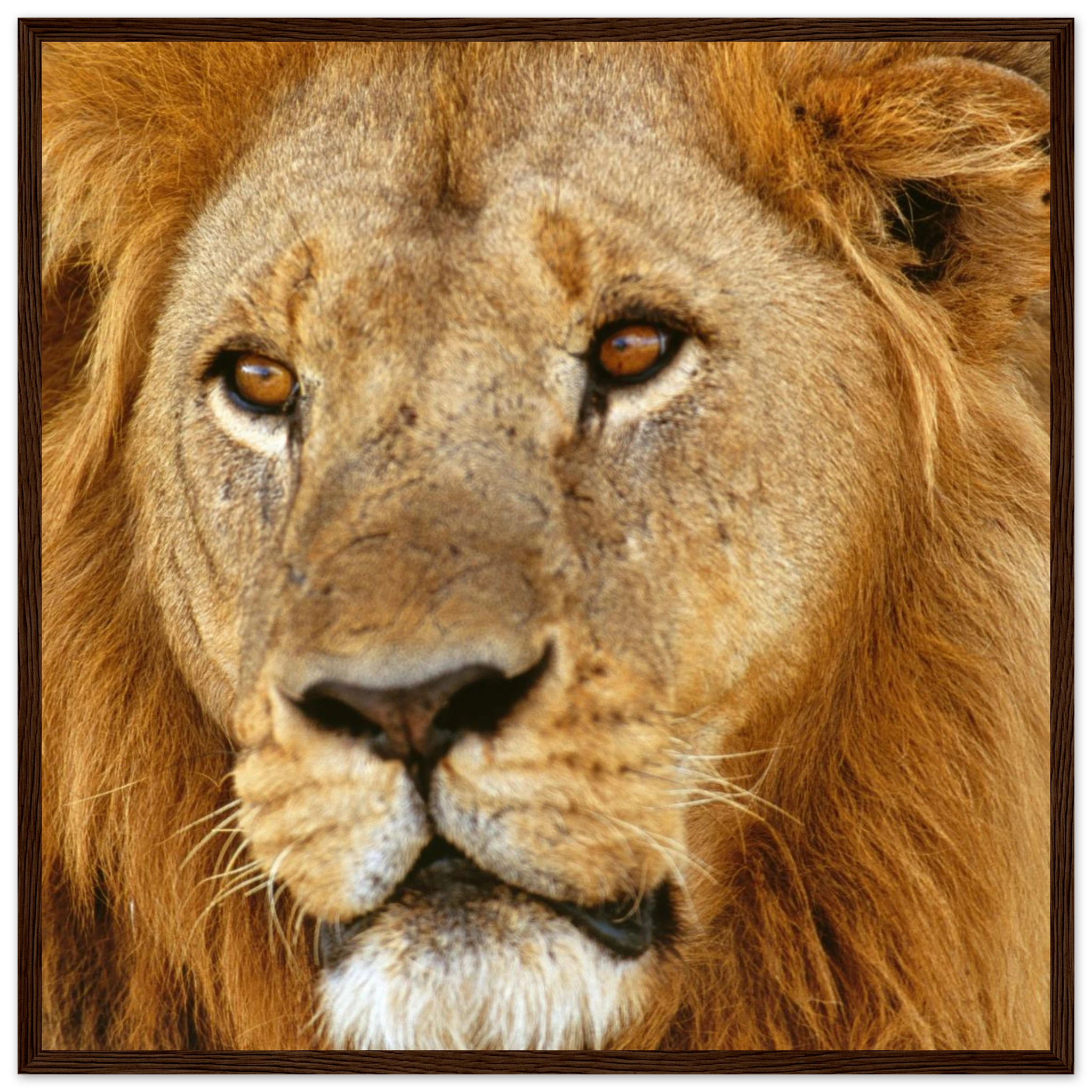 1f4444a6-8c66-4c1f-8509-c042f4fa5639