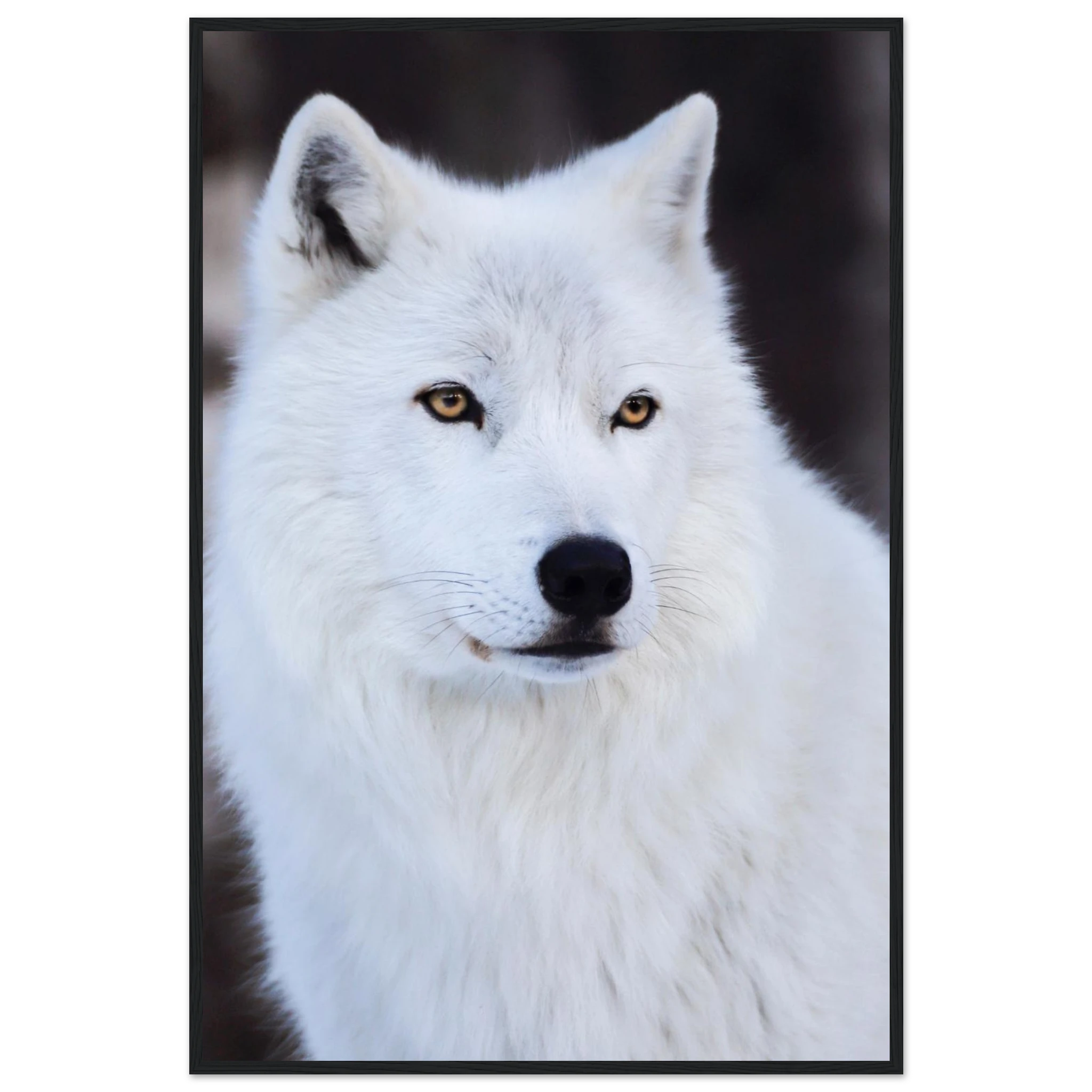 1f4ace13-805e-47f7-9006-731a755265e3