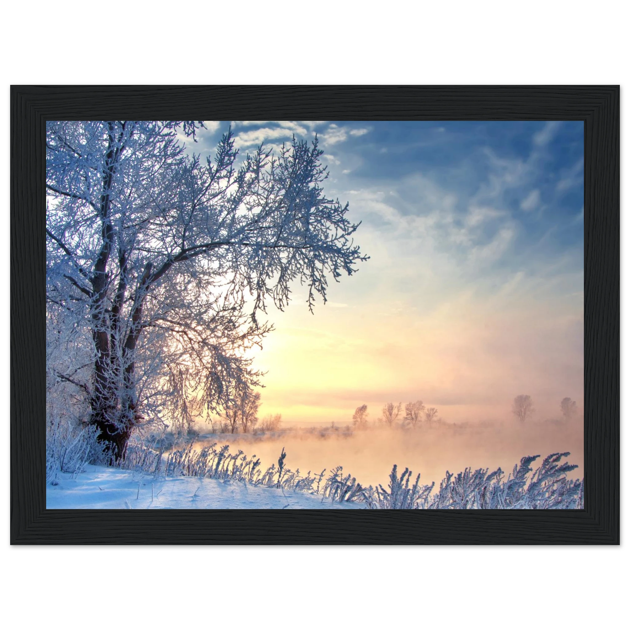 1f56951e-419a-40fc-89a6-552792e8c97e