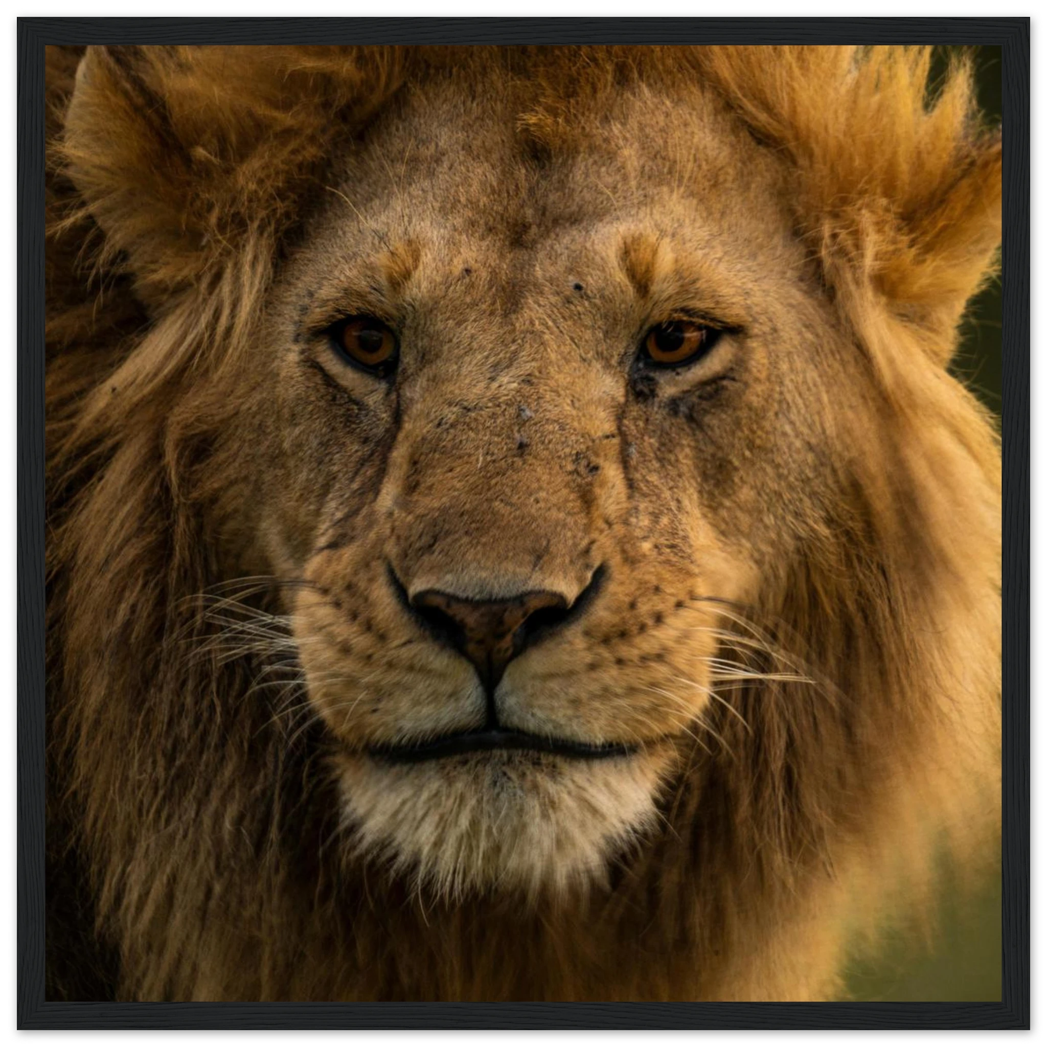 1f63c180-a1f1-4cde-b6c0-2ecd6ceb0710