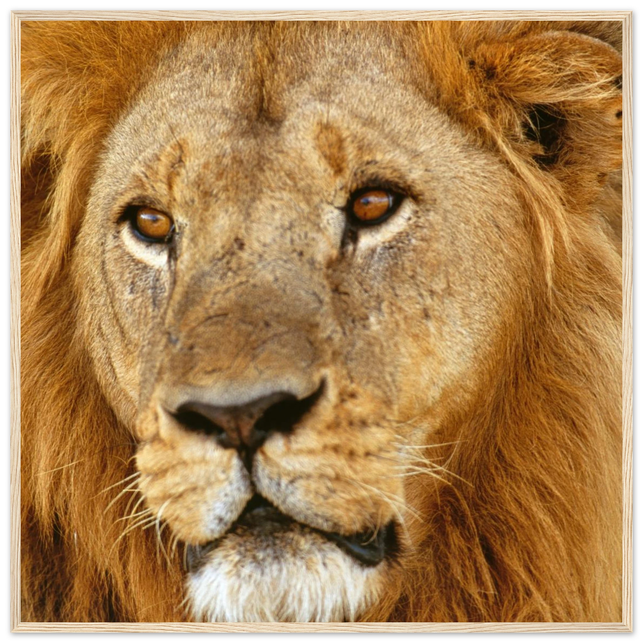 1f68e4c2-951e-454f-a644-07ac9751cb5d