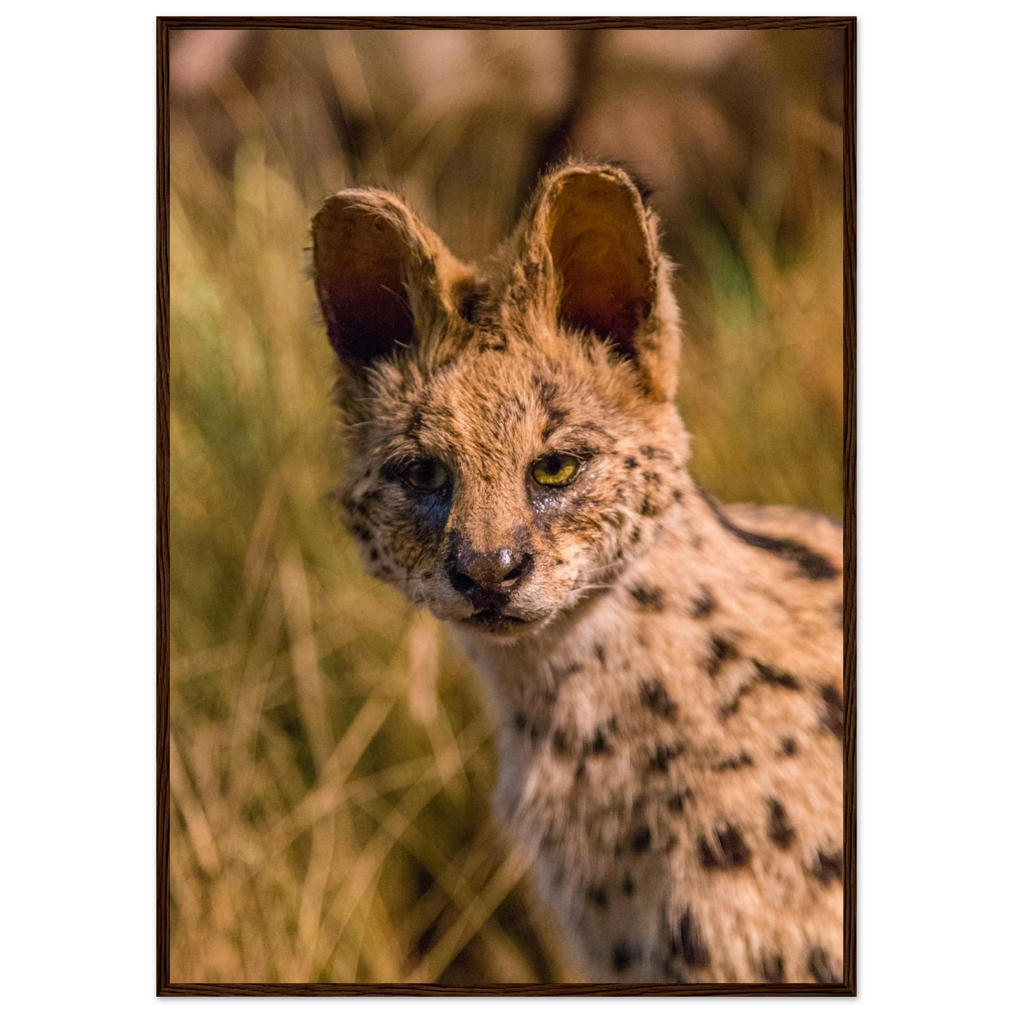 1f6b5bc2-3856-4609-a4cf-0d1986d7ba10