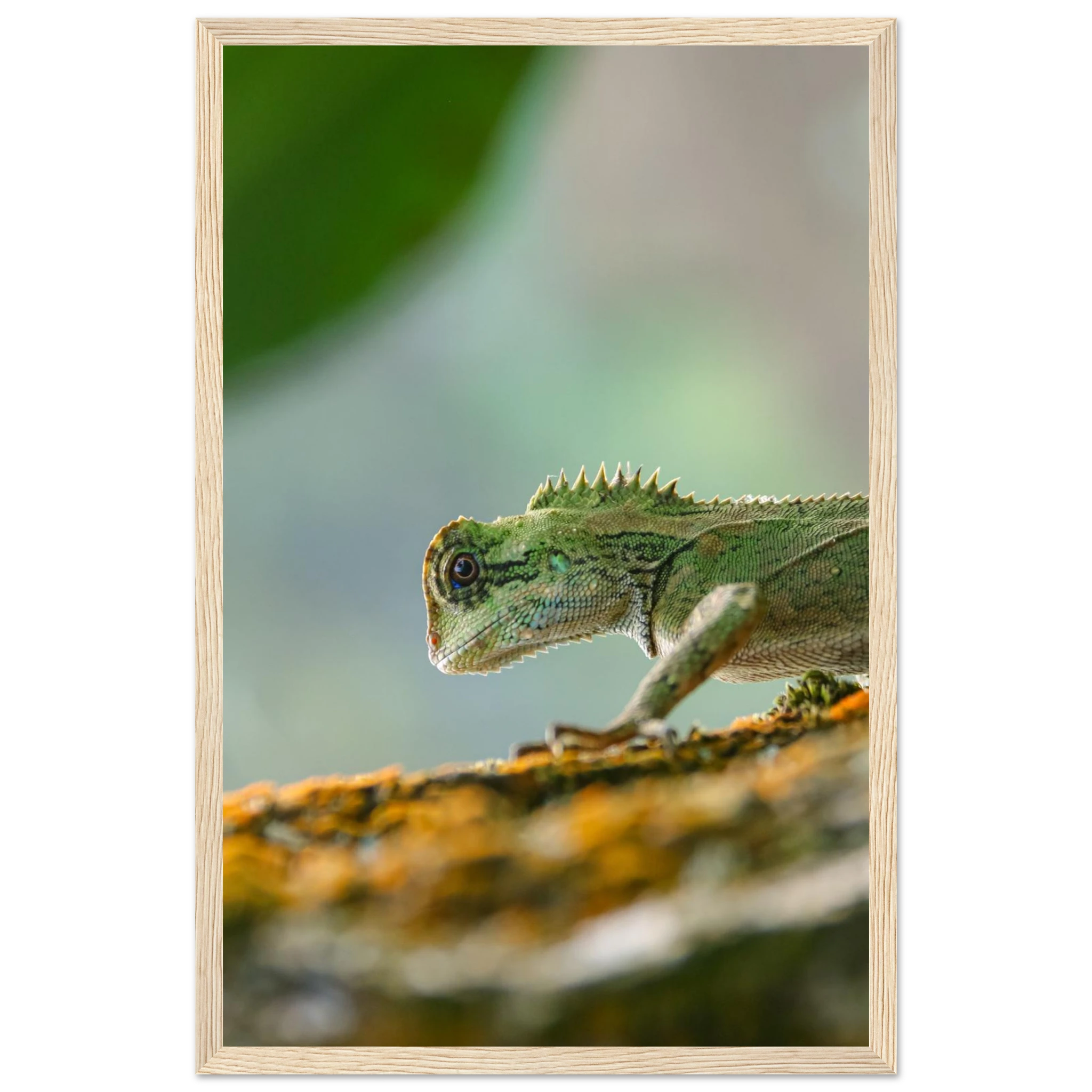 1f7e0a85-2034-4226-a47a-58021dccef6f