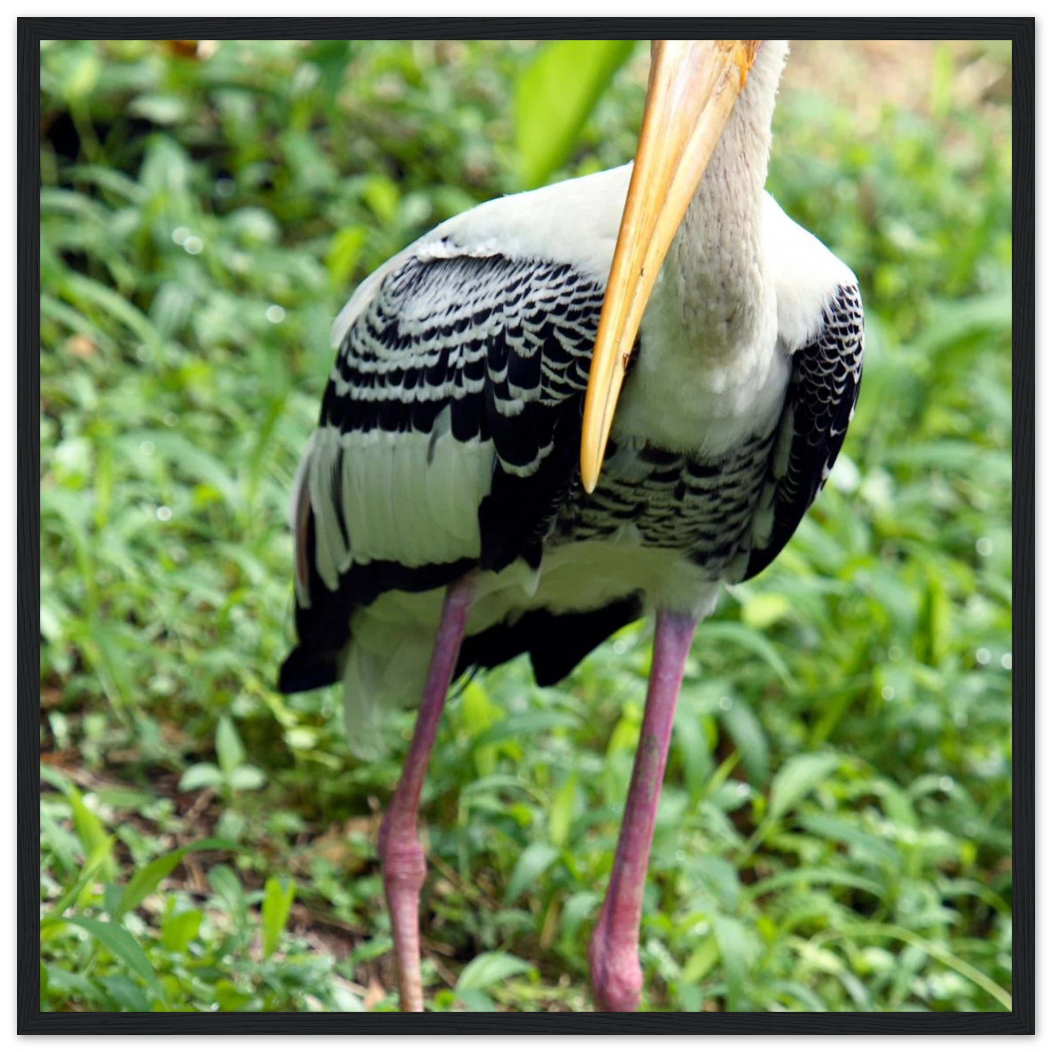 1f83a8fa-14a3-40f8-9132-917b4a8c9248