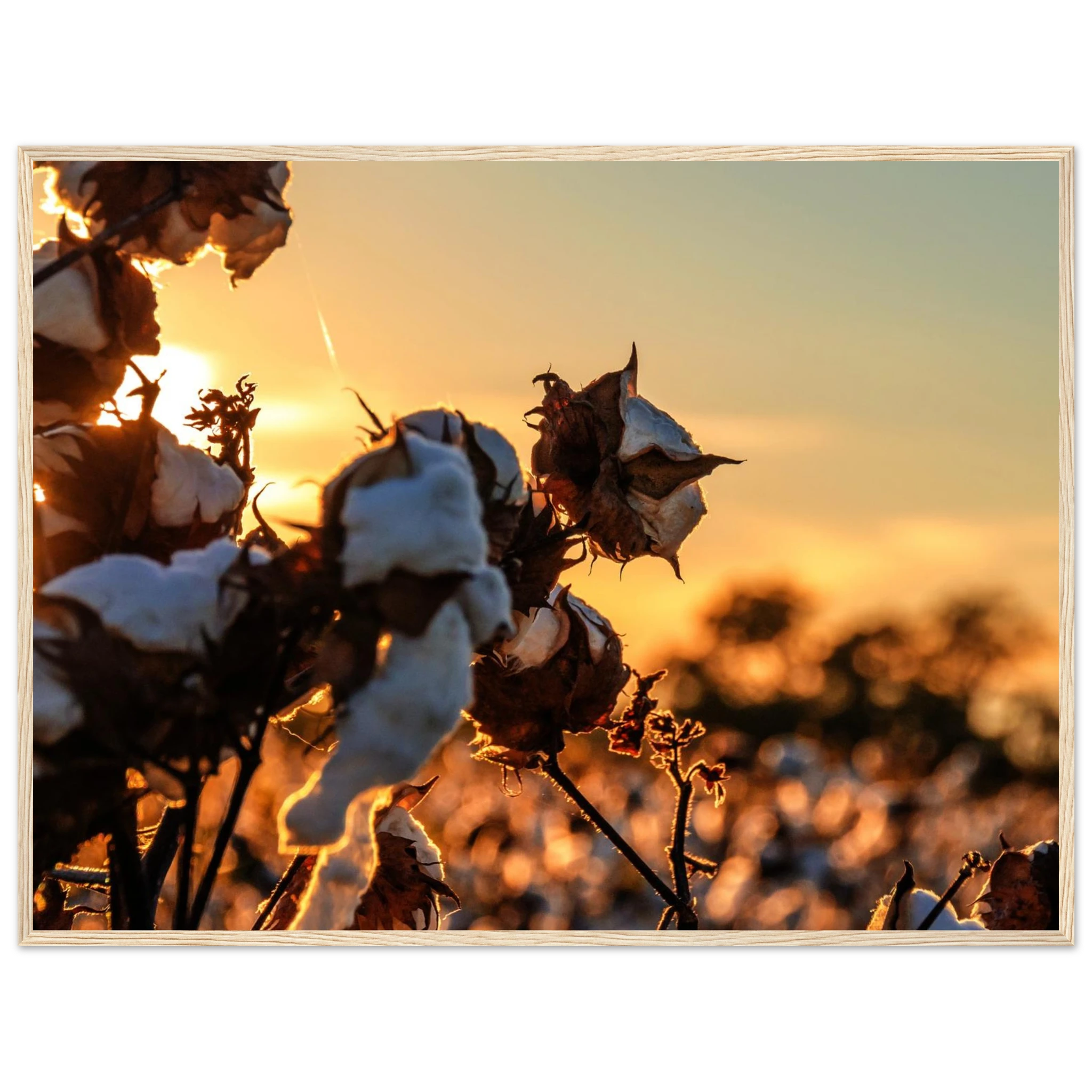 1f9072c1-1db9-4eff-b7eb-503303c6e352