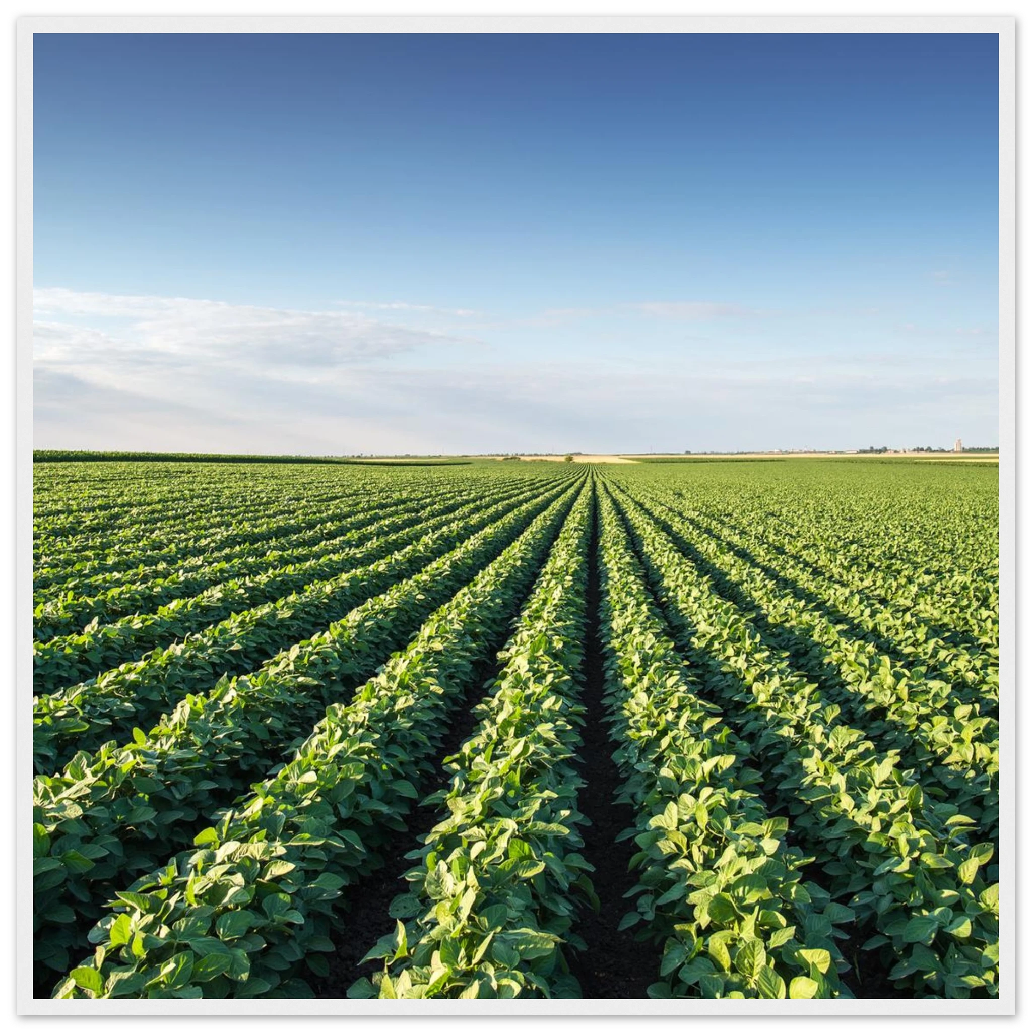 1f9b4b05-36a0-4ba4-b7f2-4a83c5704851