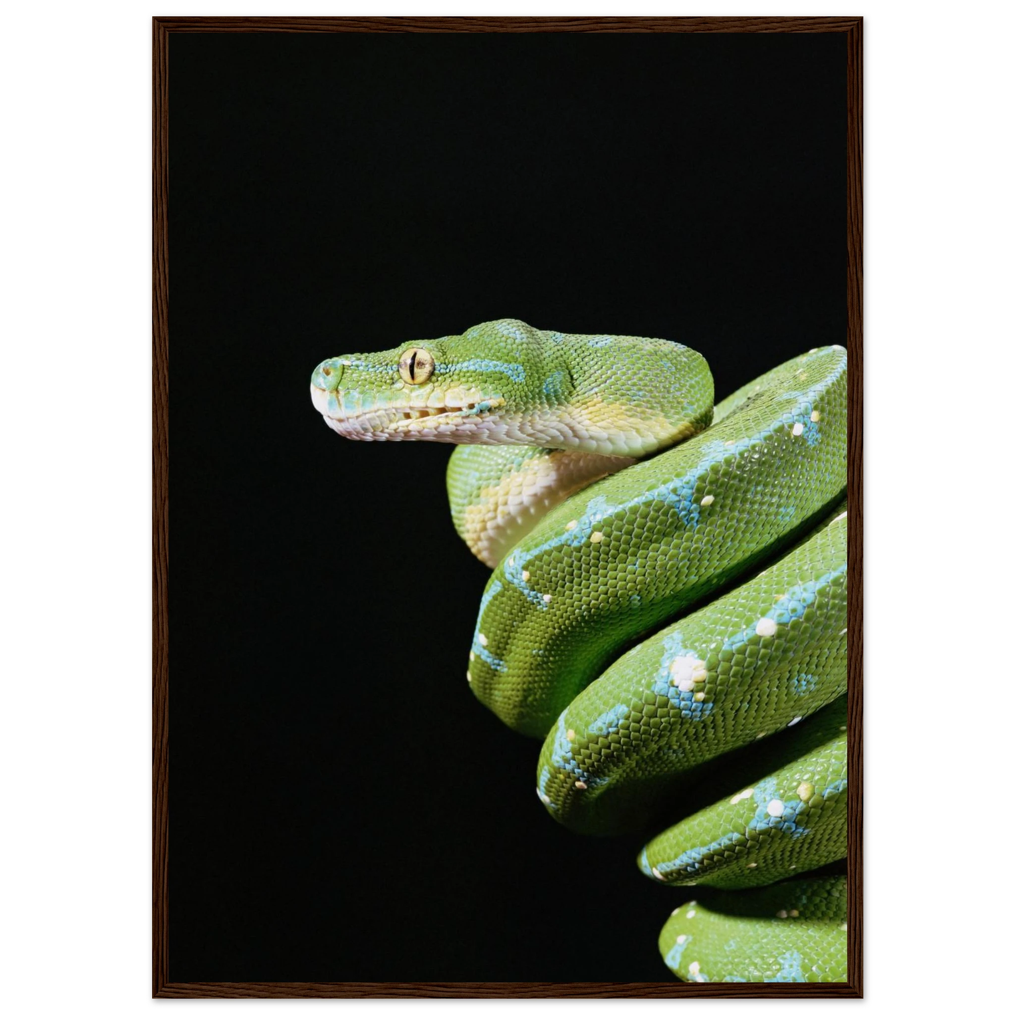 1fa51293-e732-44df-bc8b-0330640b6e67