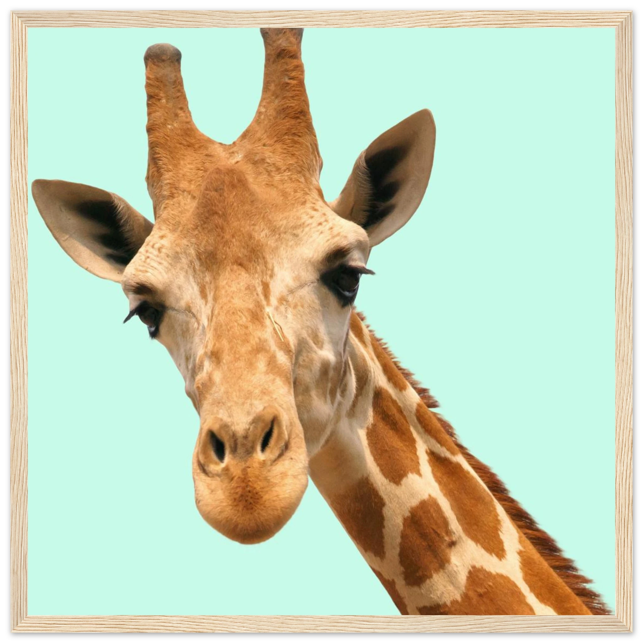 1fa75dcd-e56f-45db-8051-f1288fcc91cf