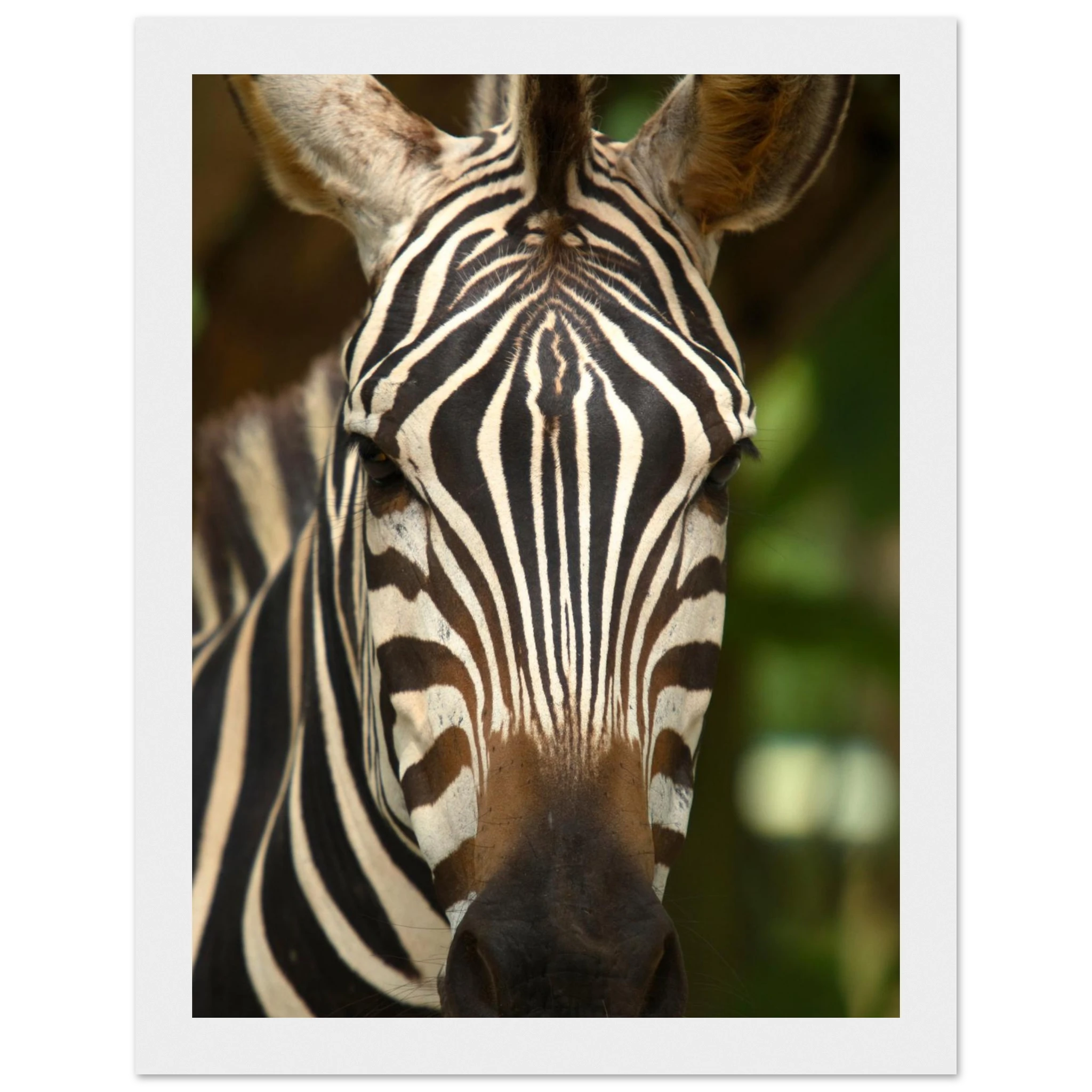 1fae7894-ad81-41ad-89a6-1ba4dbee8914