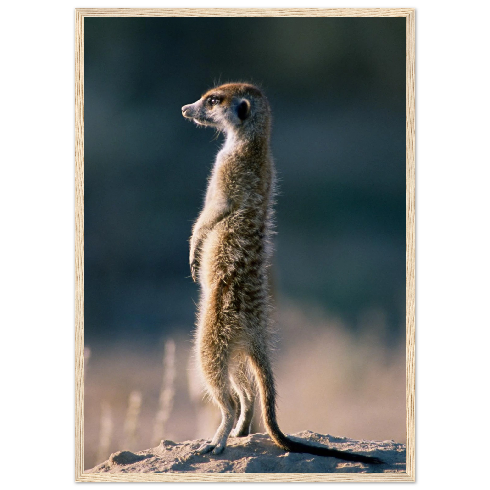 1fb704ac-34b6-41b1-9473-e2e70e4df77d