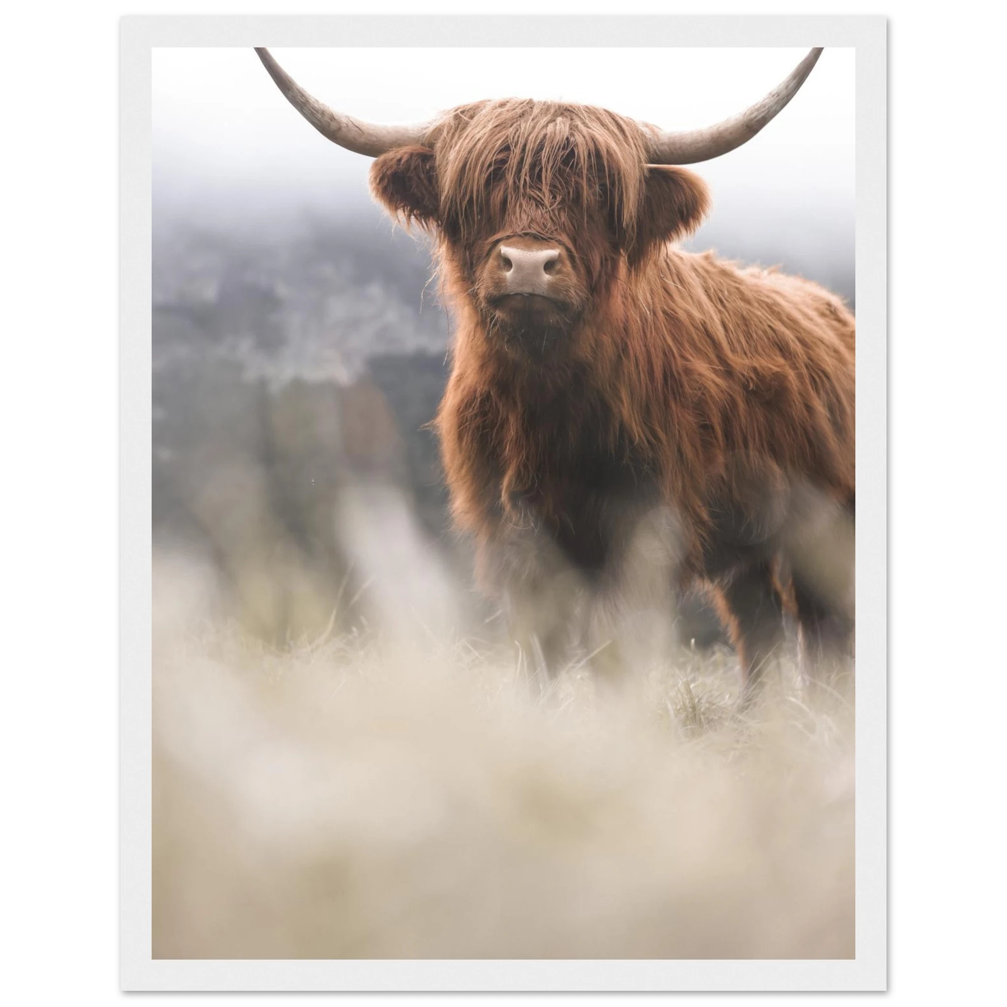 1fdf02bd-0880-4ba9-84af-26f1de4eeb96