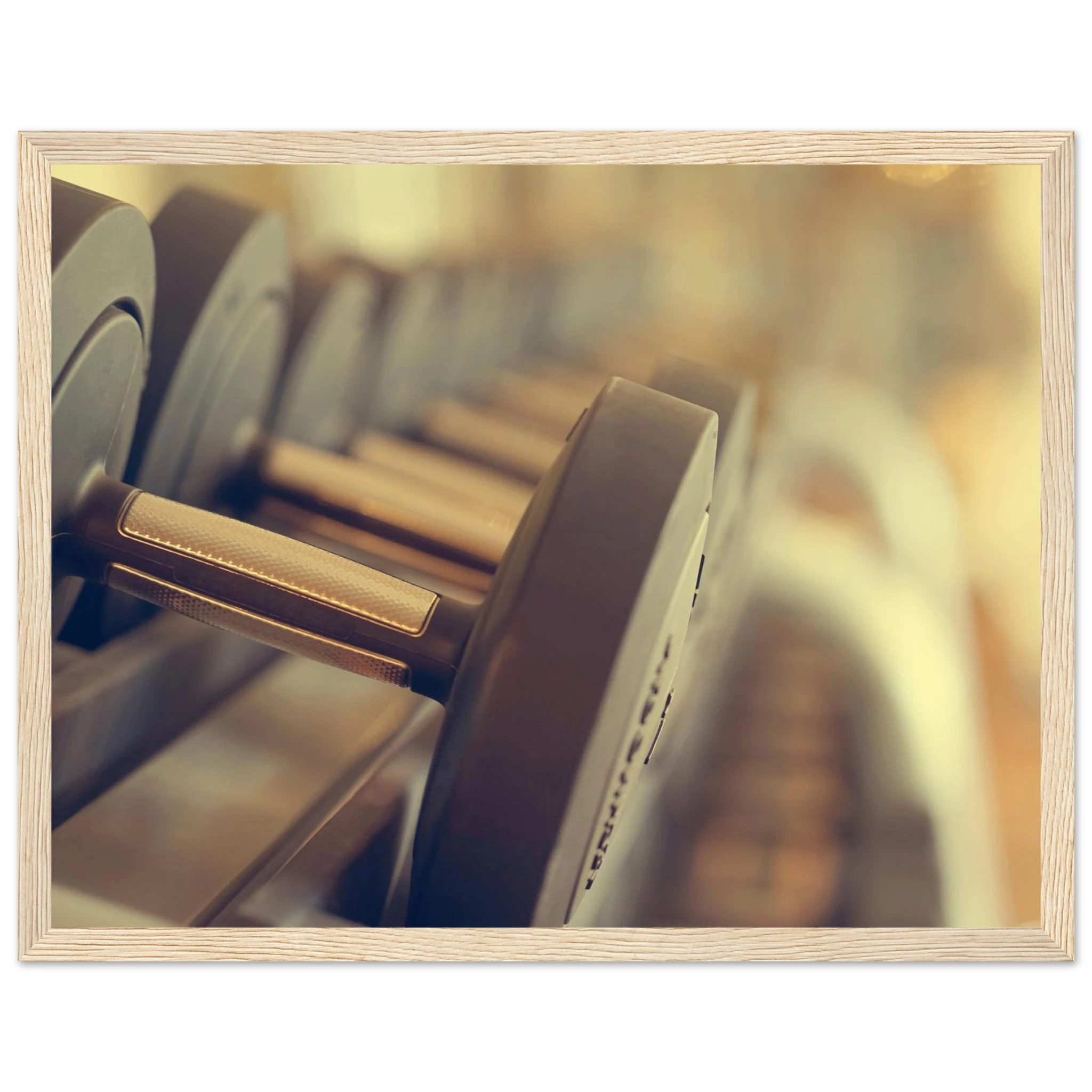 1ff94ad8-7892-4593-bf47-2f2ee8631bdb